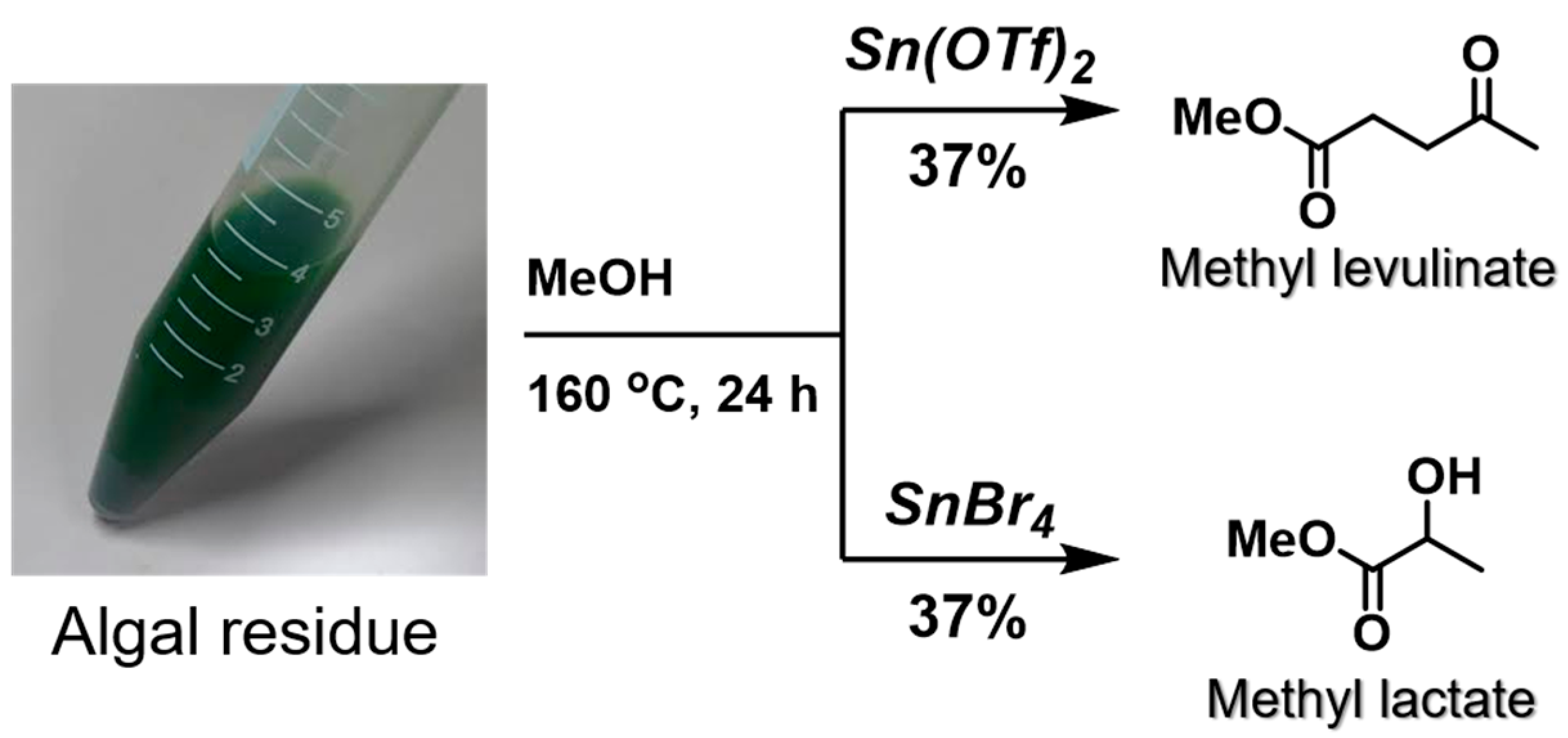Catalysts 07 00163 sch004