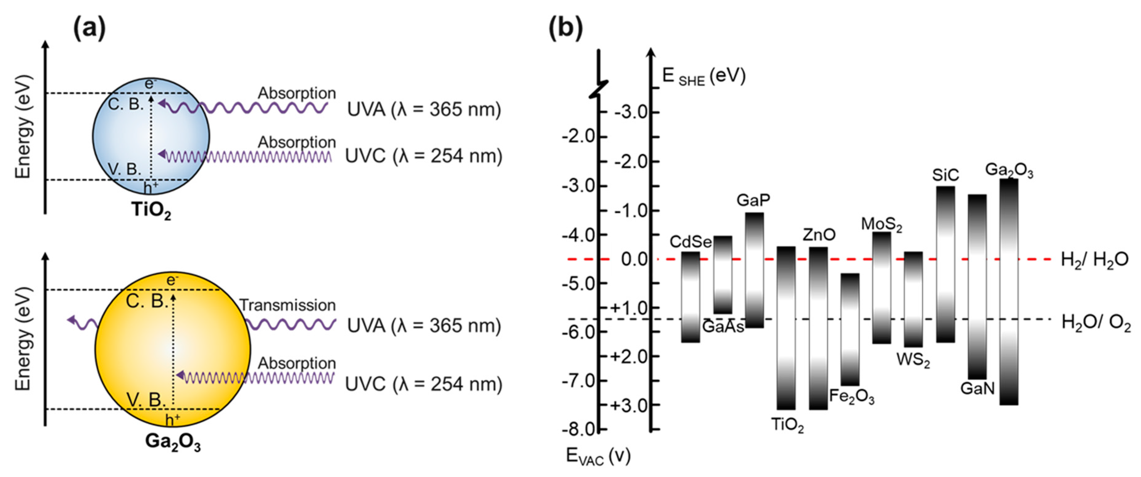 Catalysts 07 00248 g001