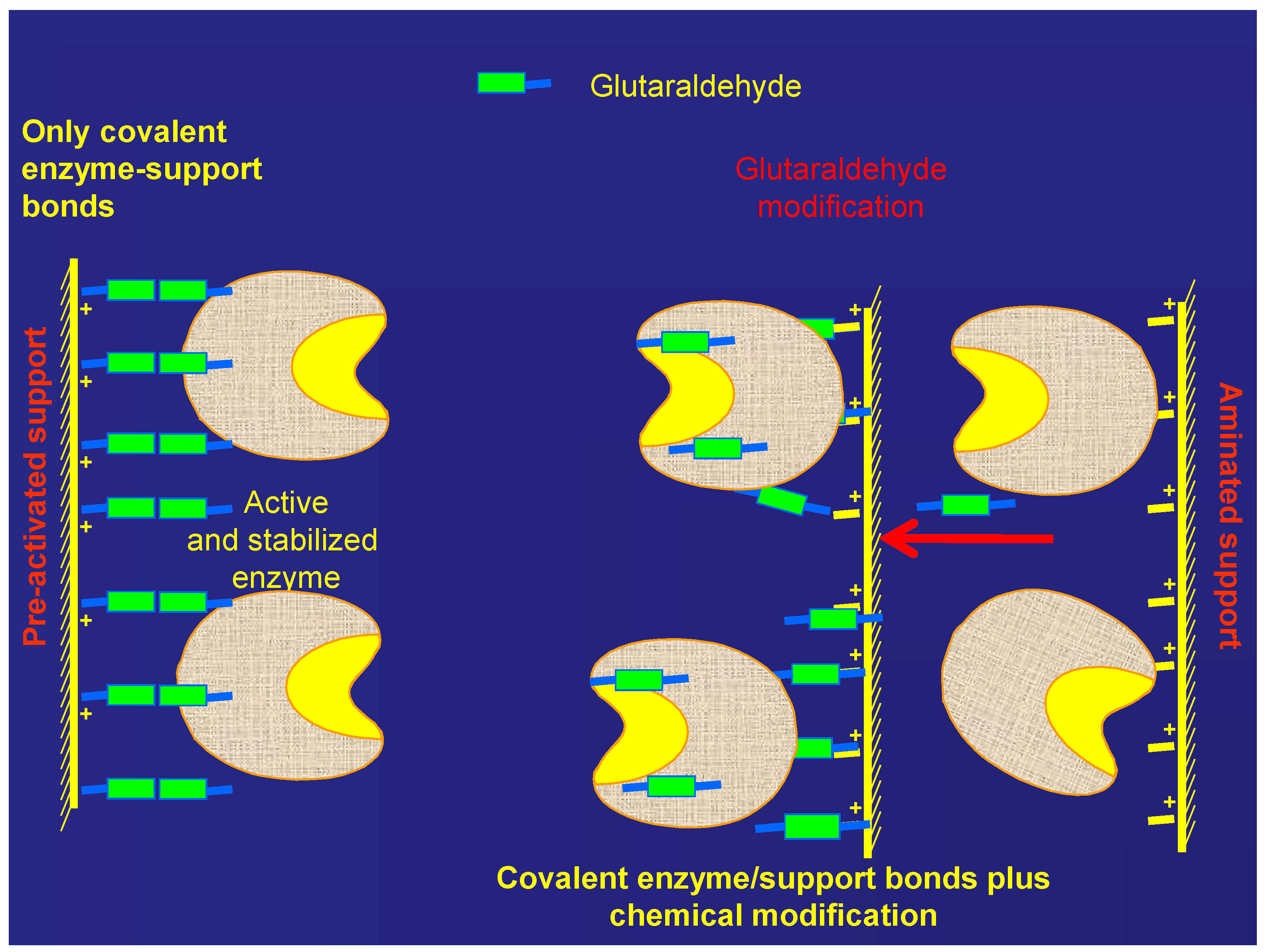 Catalysts 07 00250 sch001