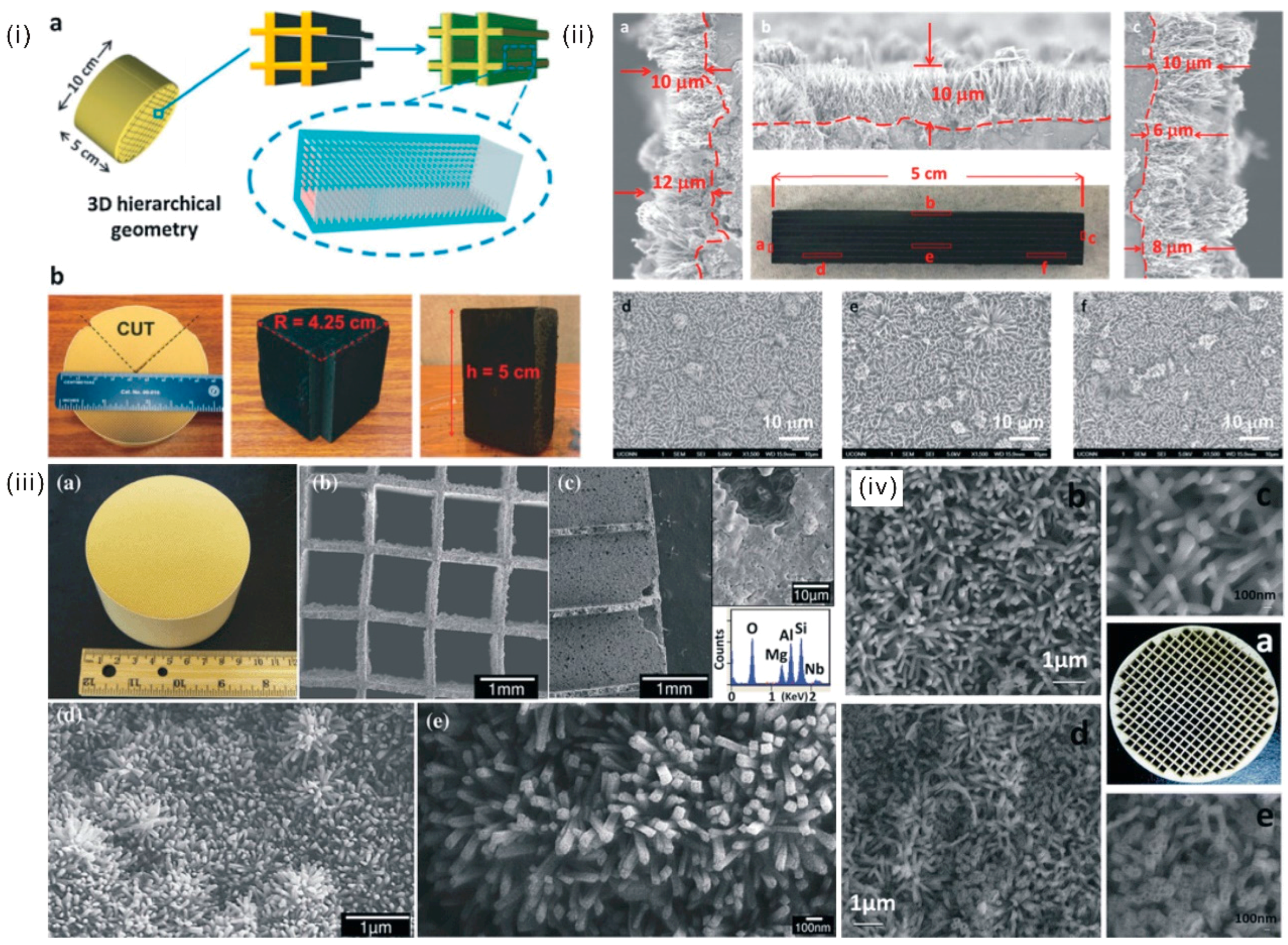 Catalysts 07 00253 g003