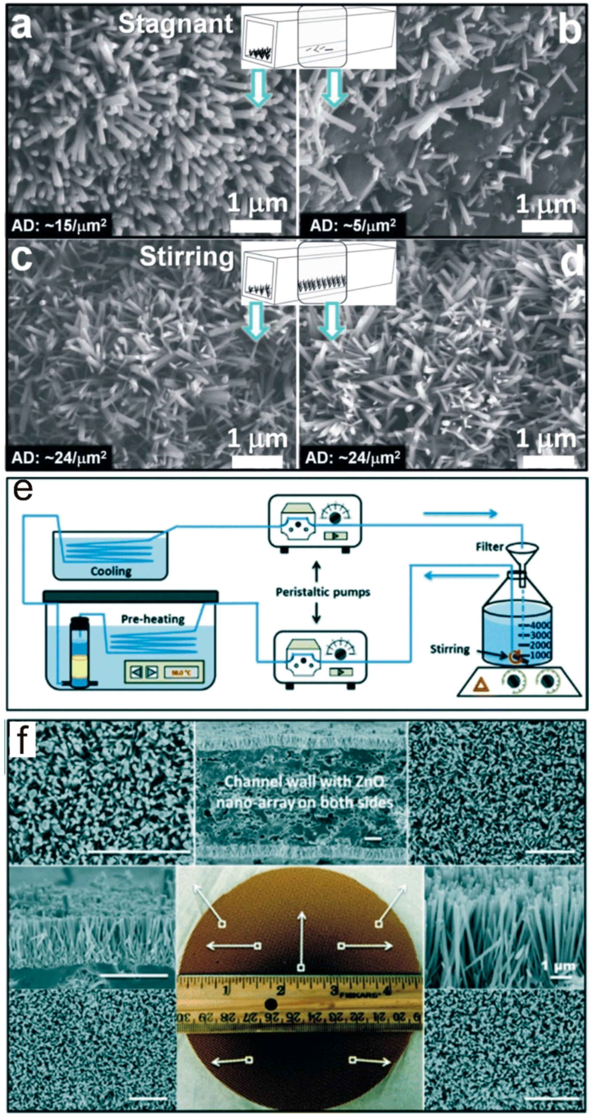 Catalysts 07 00253 g005