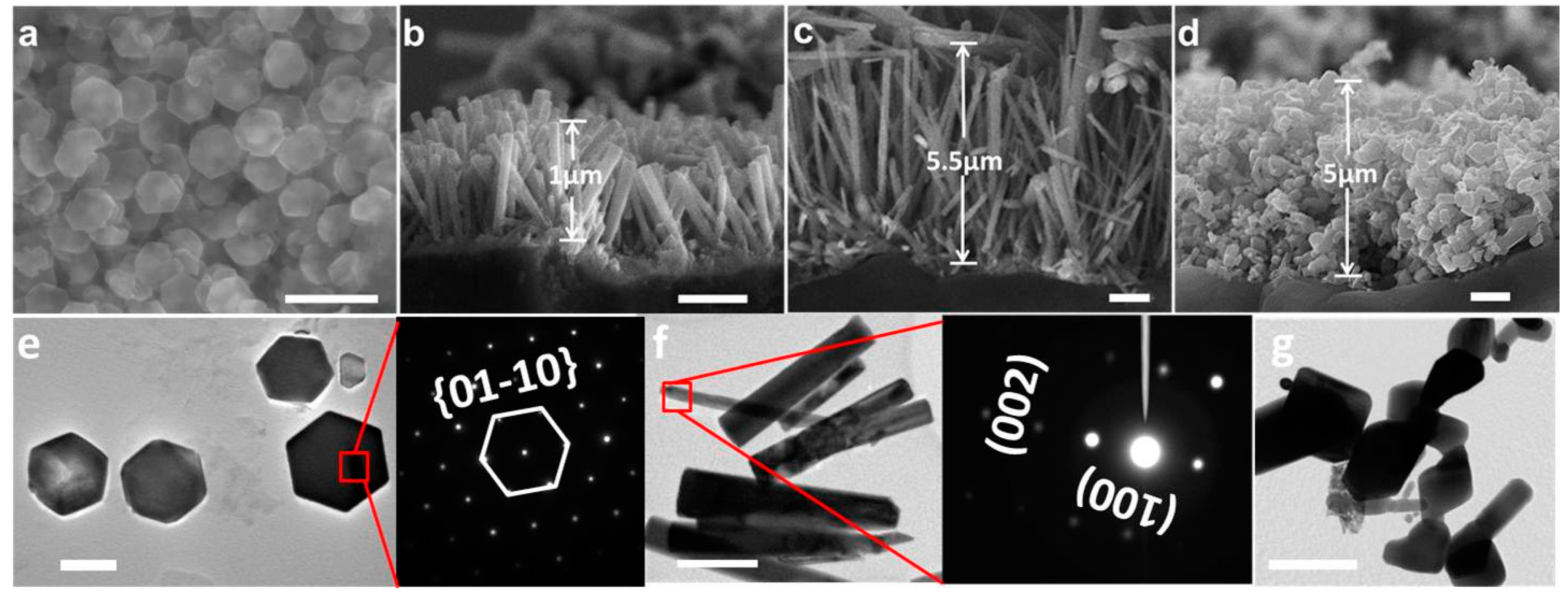 Catalysts 07 00253 g007