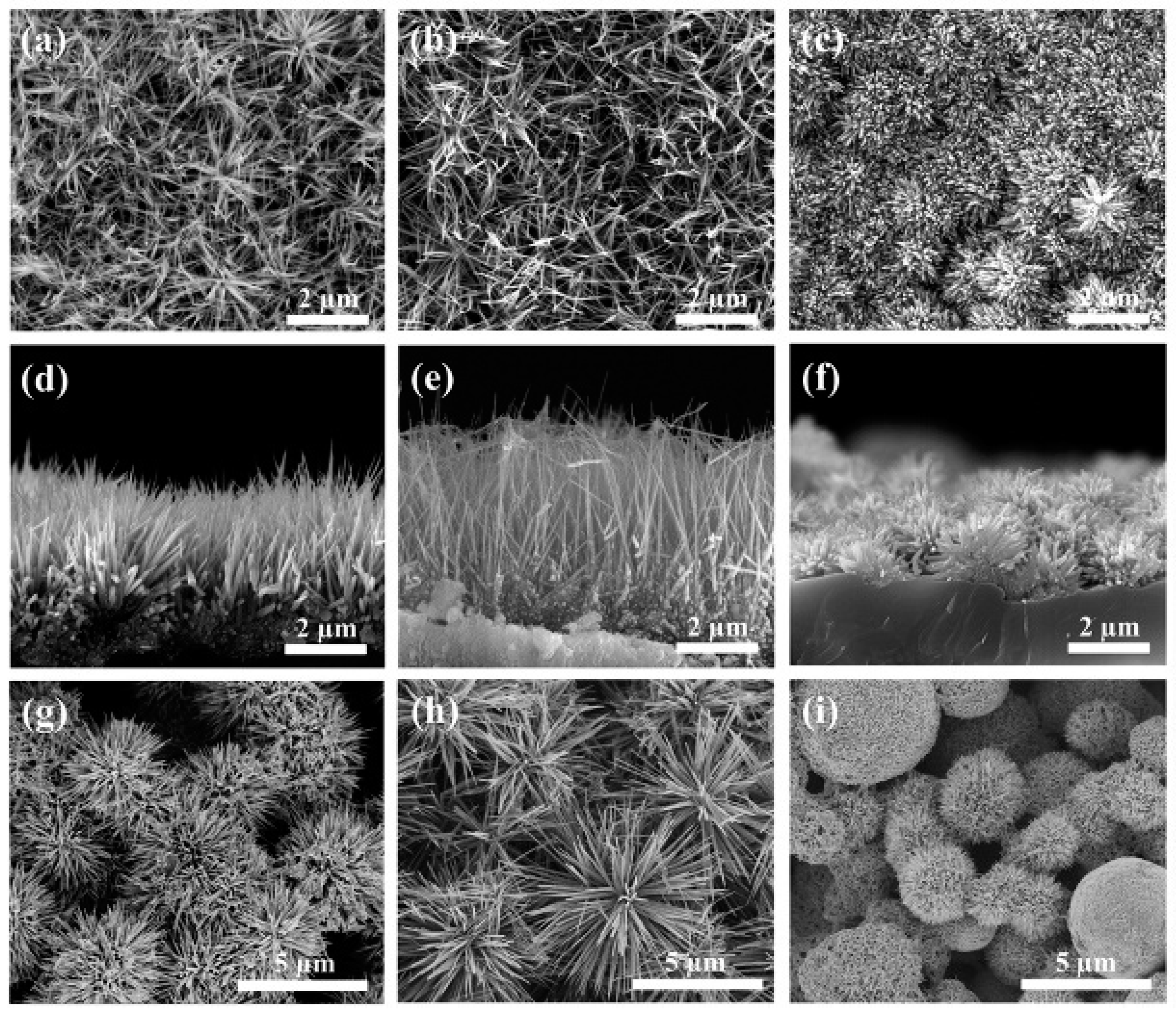 Catalysts 07 00253 g009a