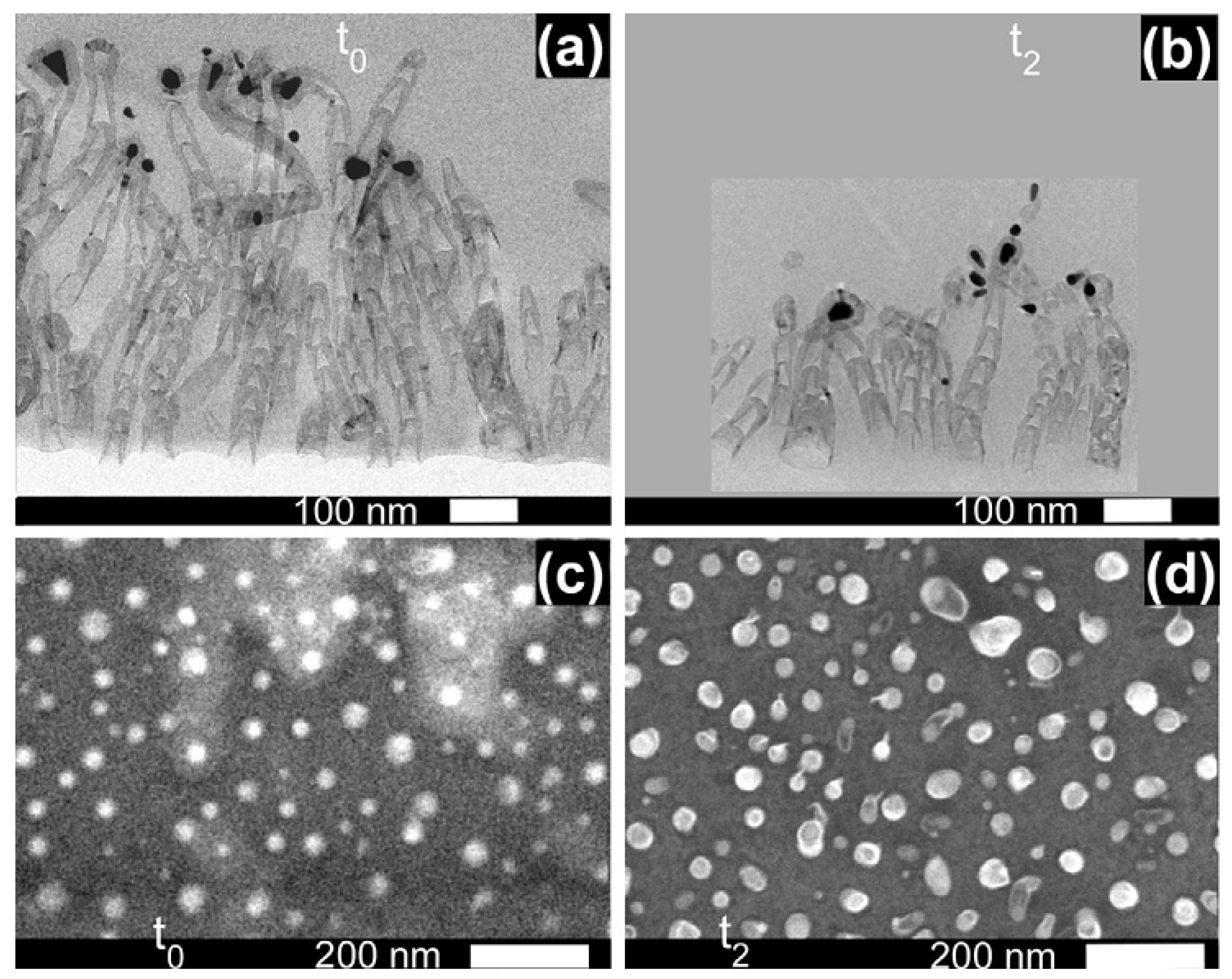 Catalysts 07 00256 g009