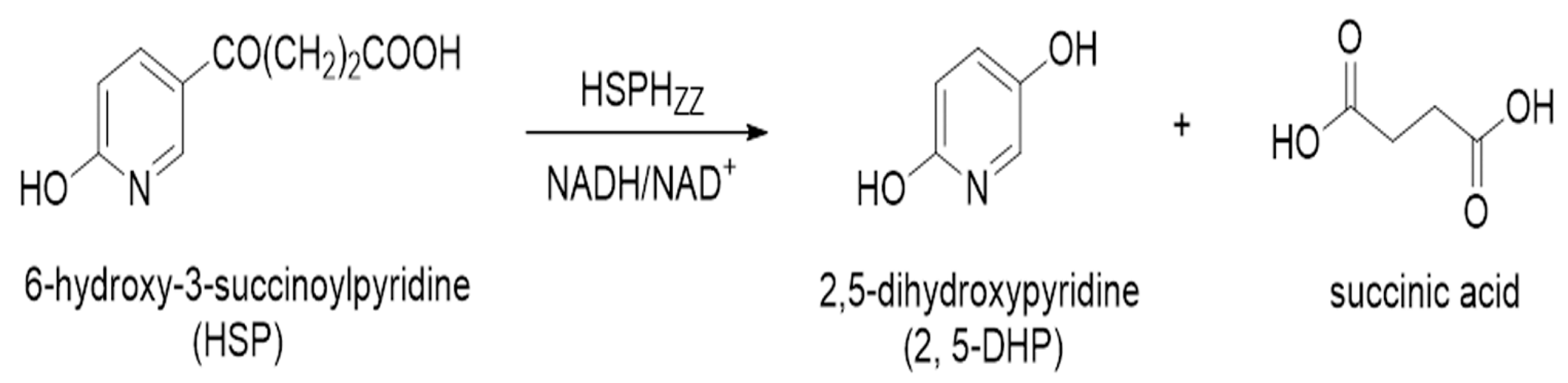 Catalysts 07 00257 g002