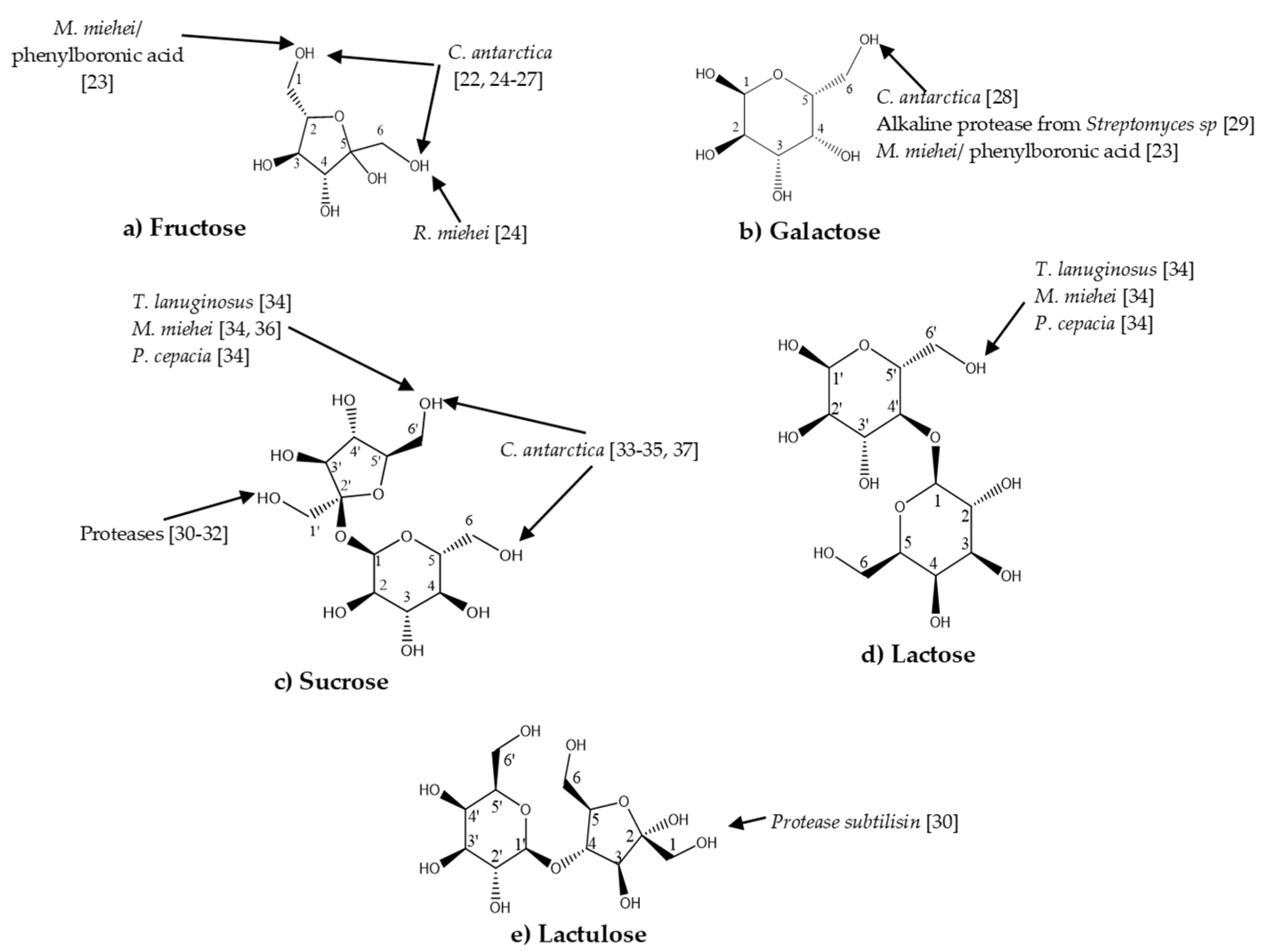 Catalysts 07 00263 g001