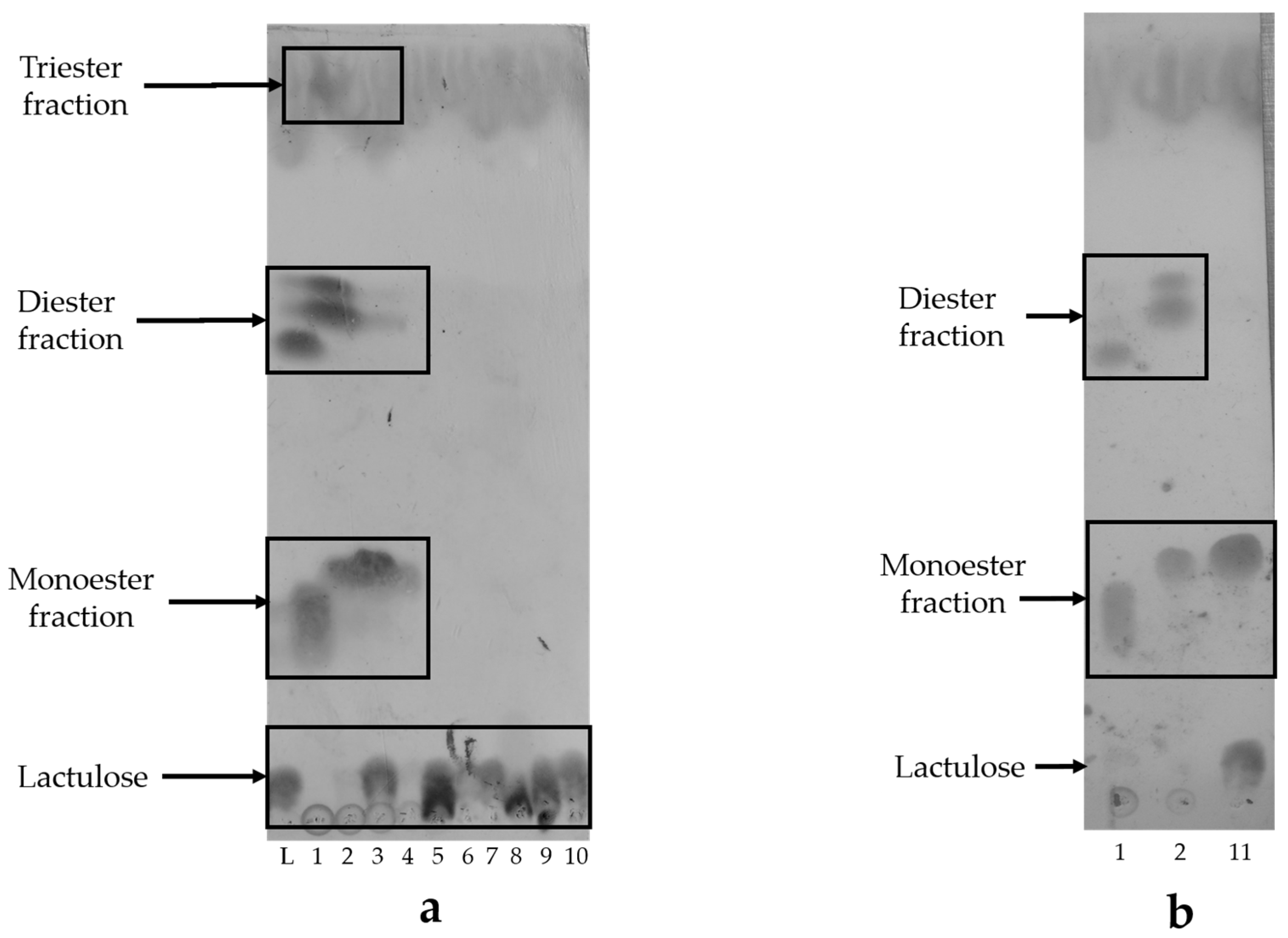 Catalysts 07 00263 g003