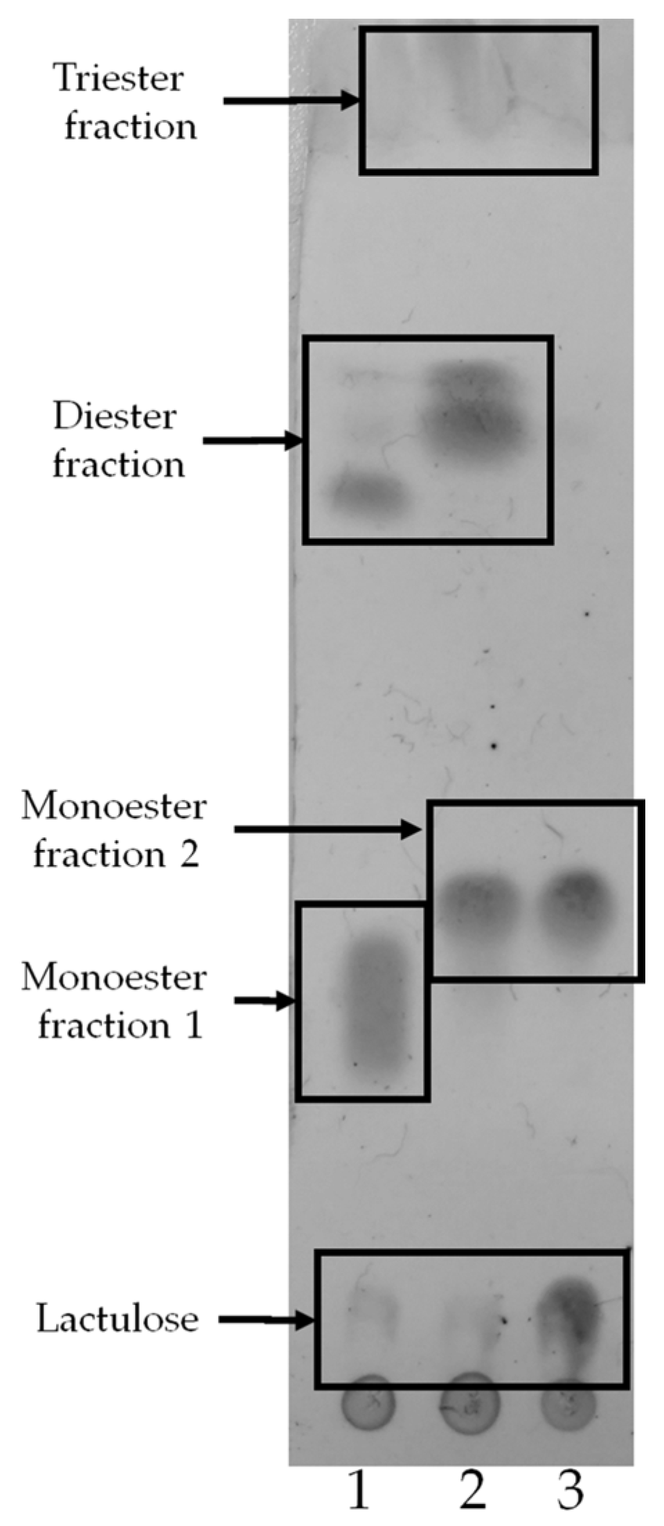 Catalysts 07 00263 g004