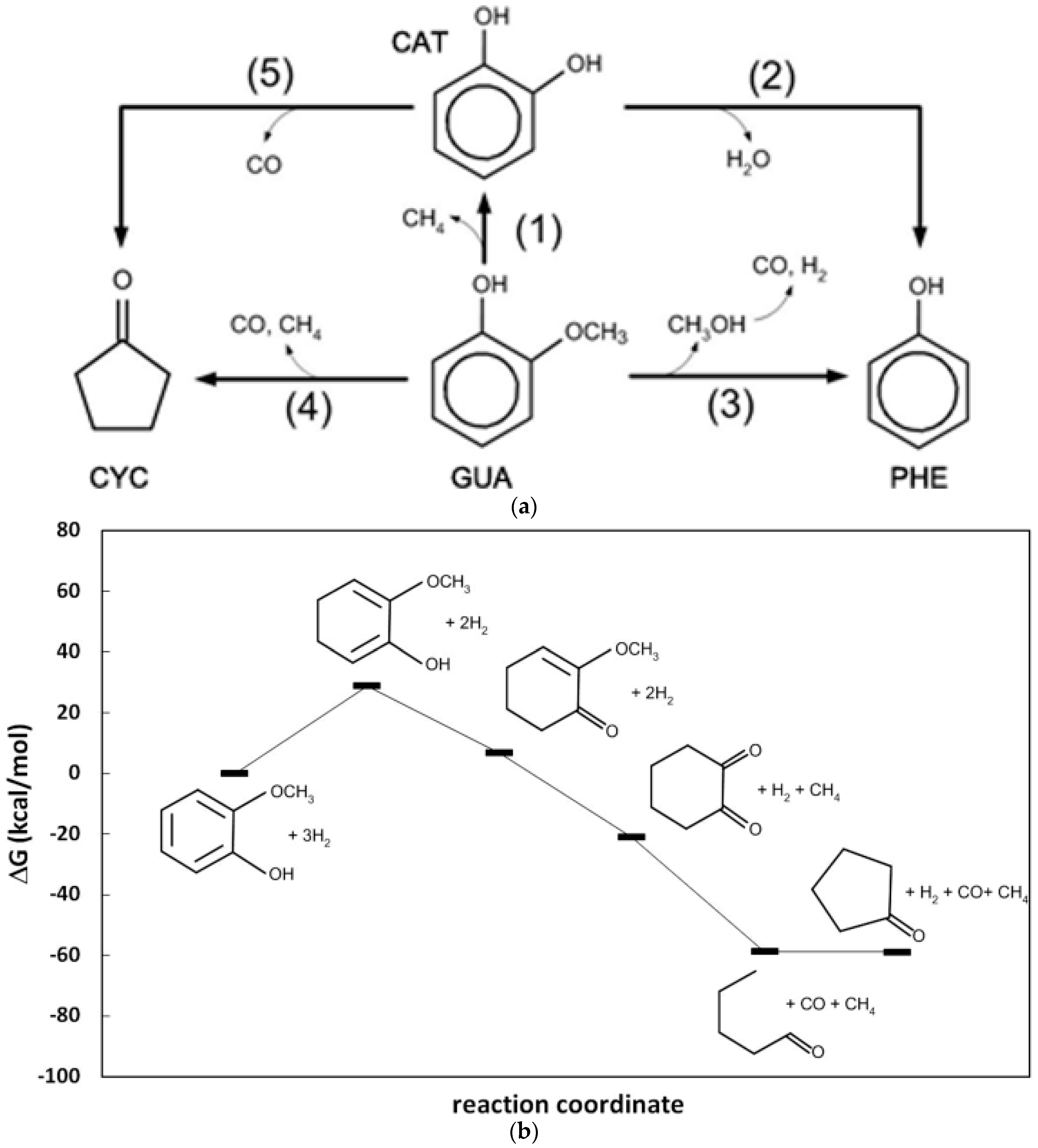 Catalysts 07 00265 g013