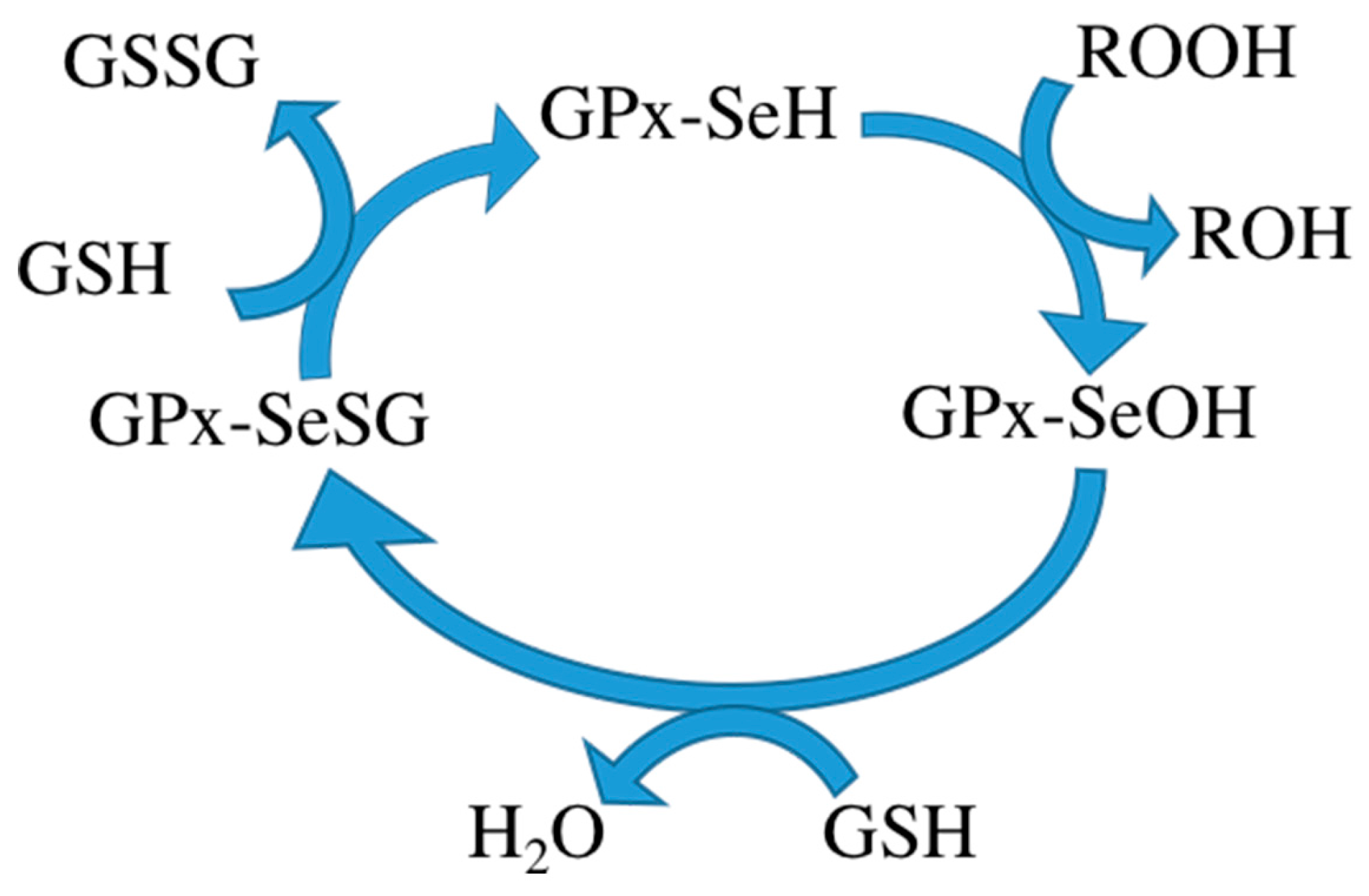 Catalysts 07 00282 sch001