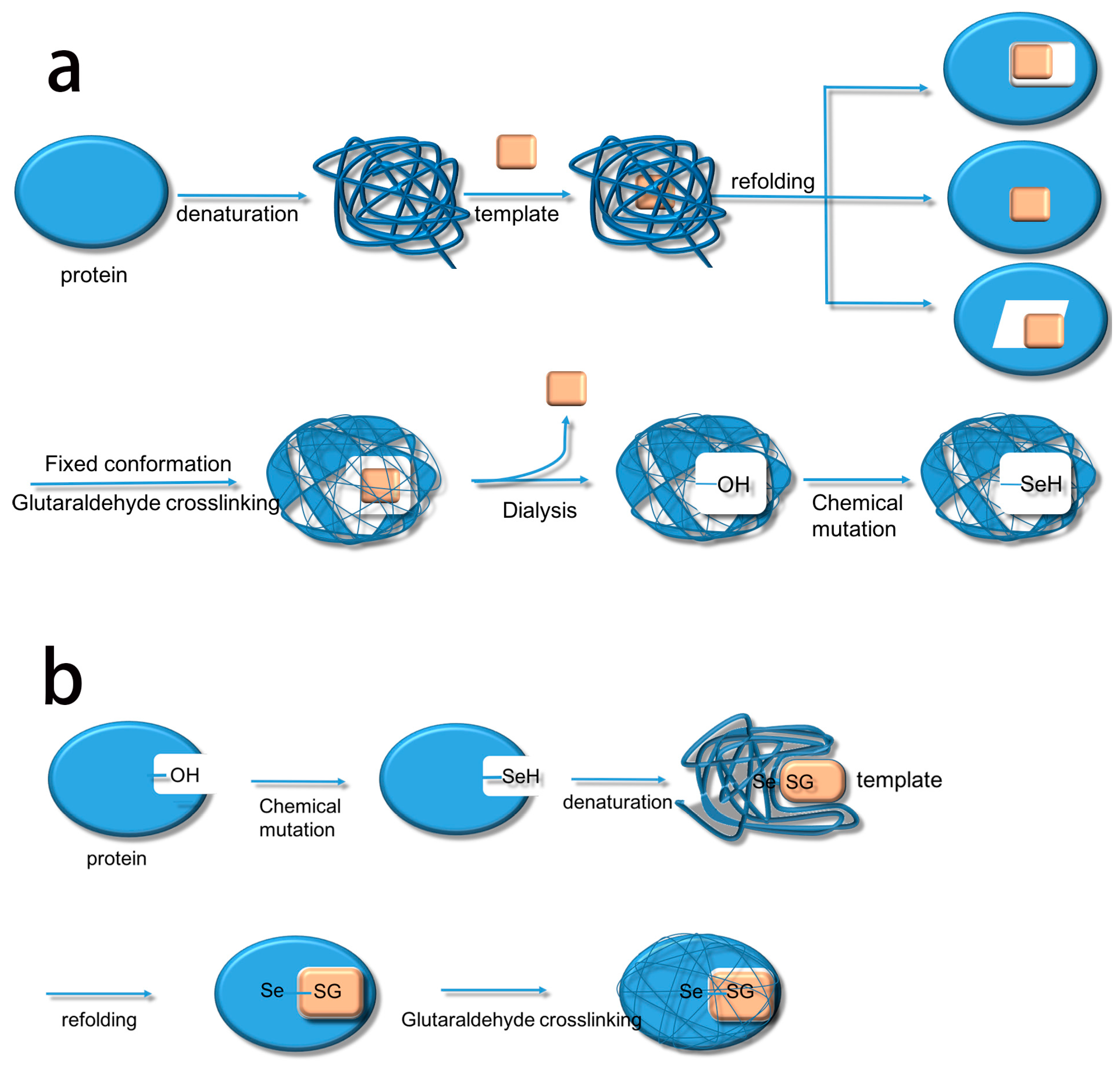 Catalysts 07 00282 sch002