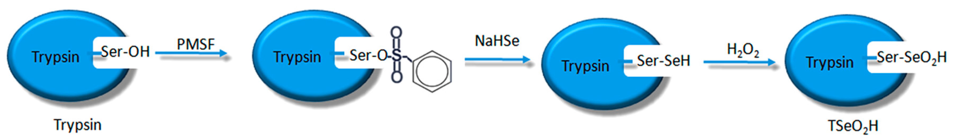 Catalysts 07 00282 sch003