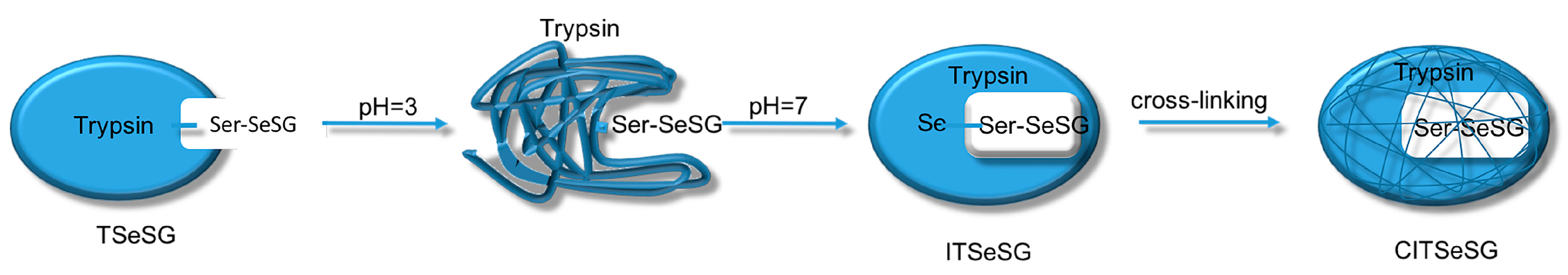Catalysts 07 00282 sch005