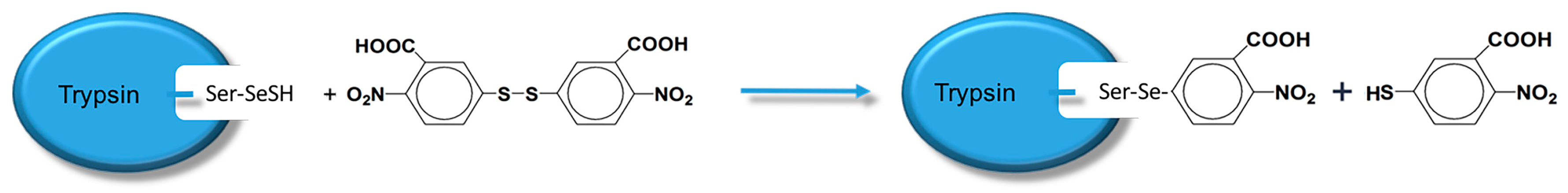 Catalysts 07 00282 sch006