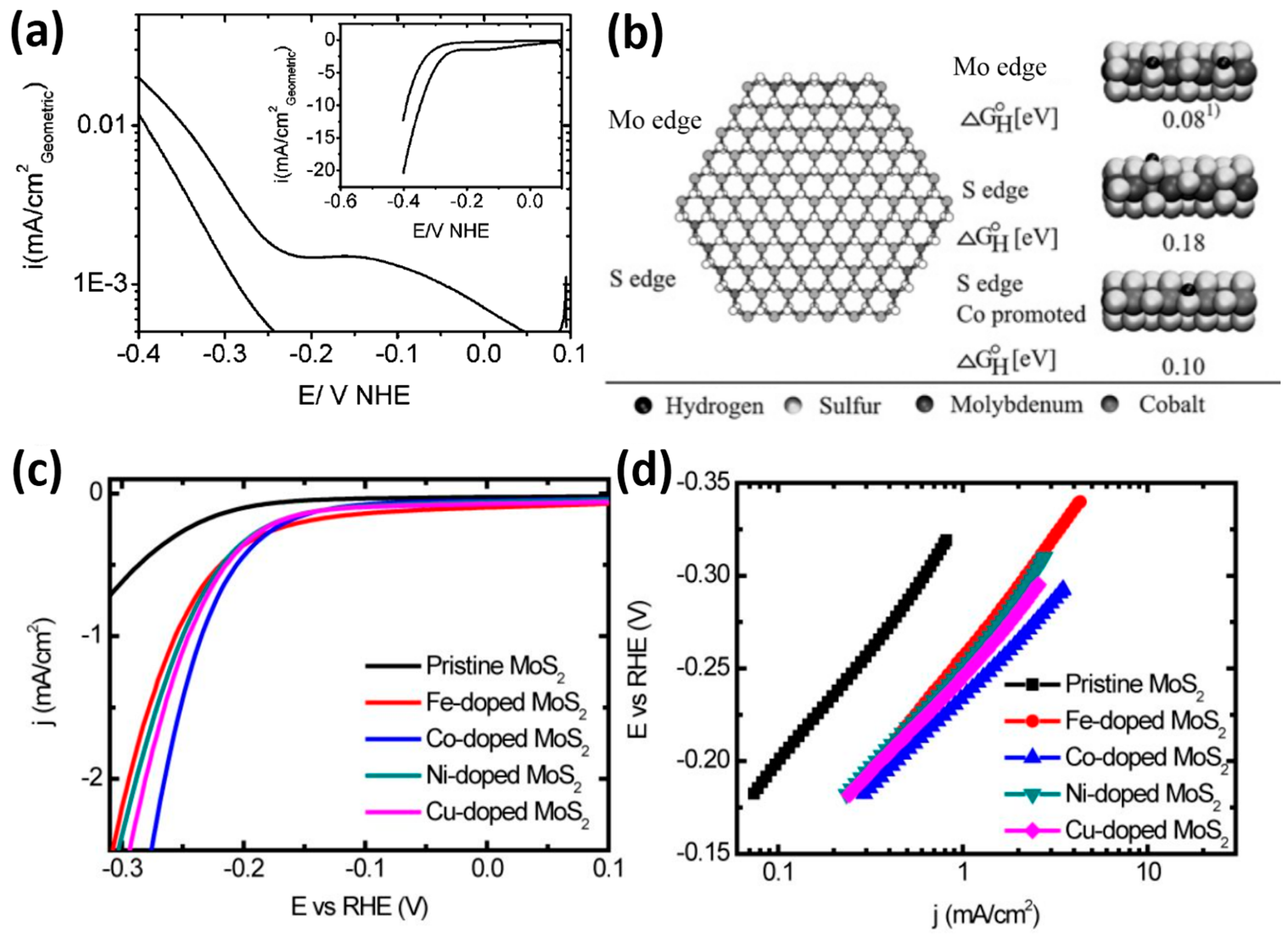 Catalysts 07 00285 g002