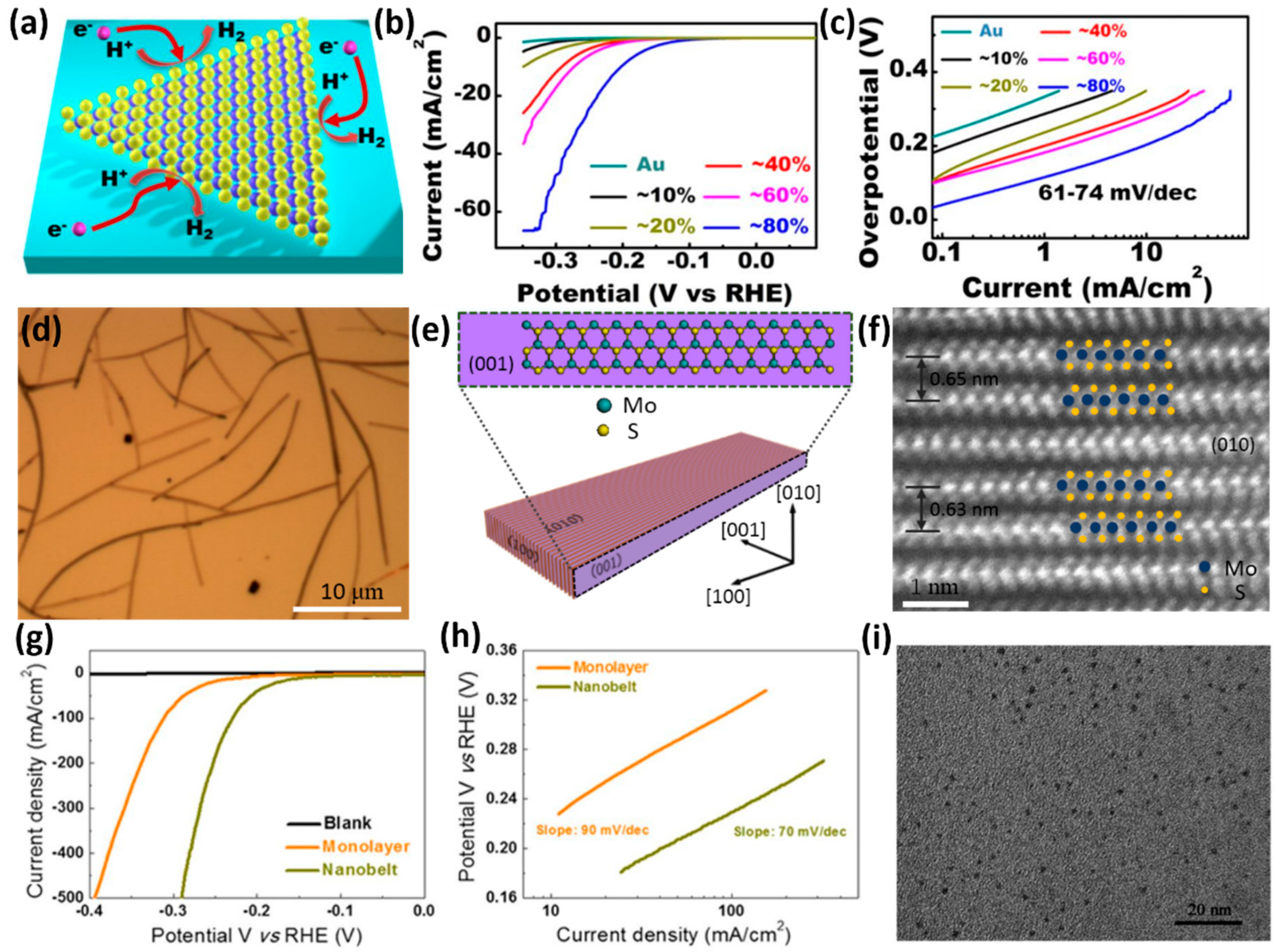 Catalysts 07 00285 g005