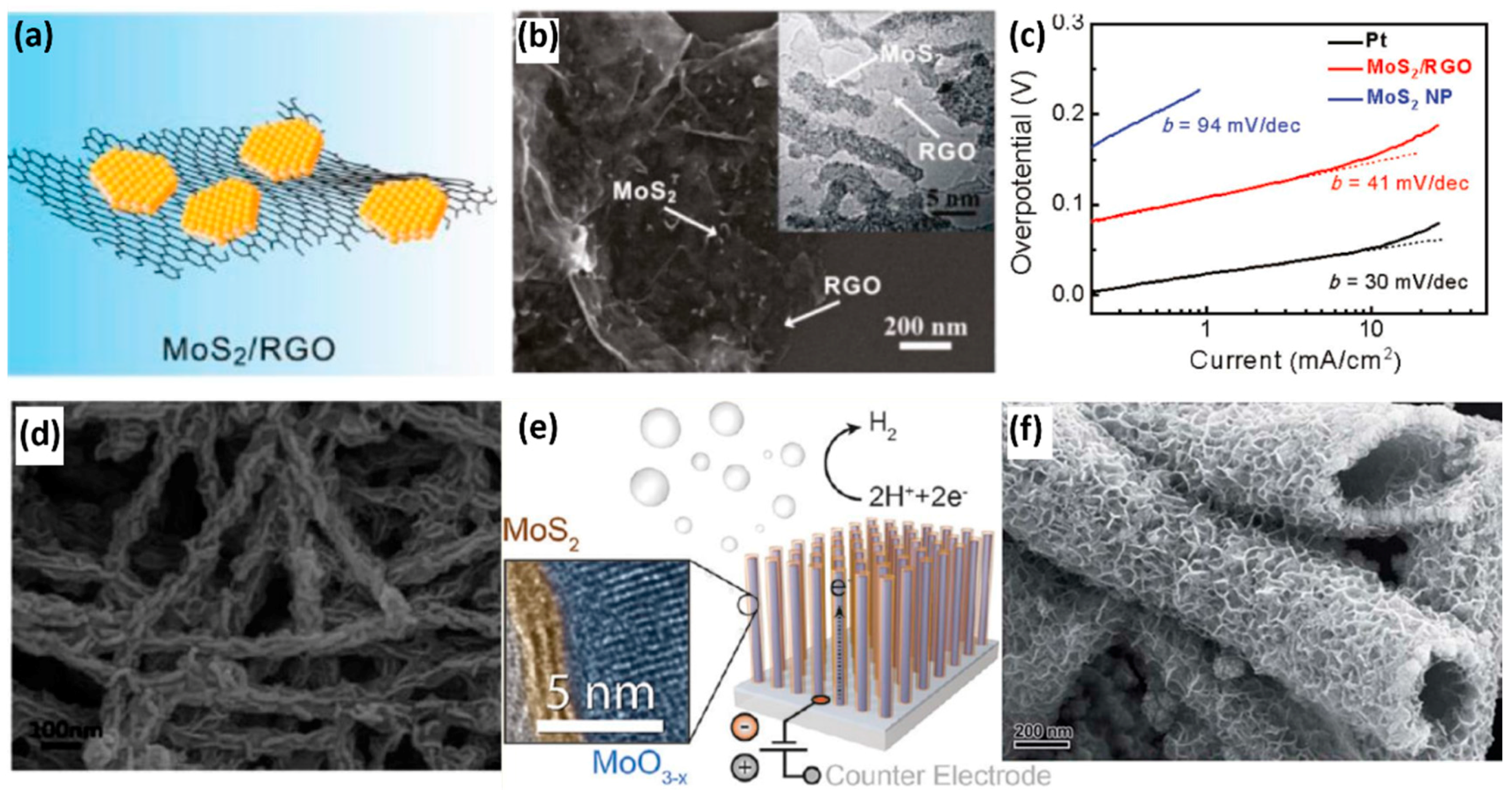 Catalysts 07 00285 g006