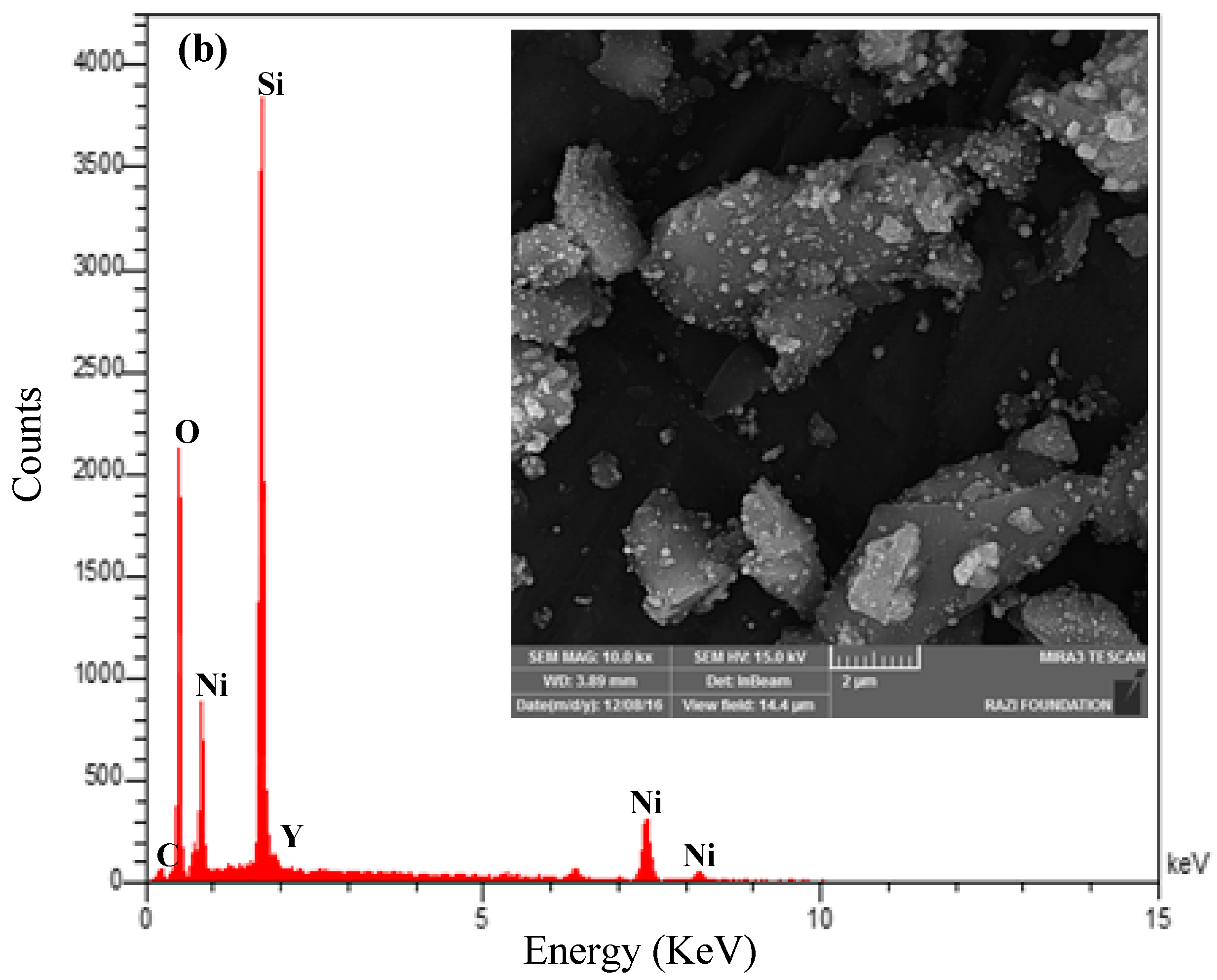 Catalysts 07 00286 g012b