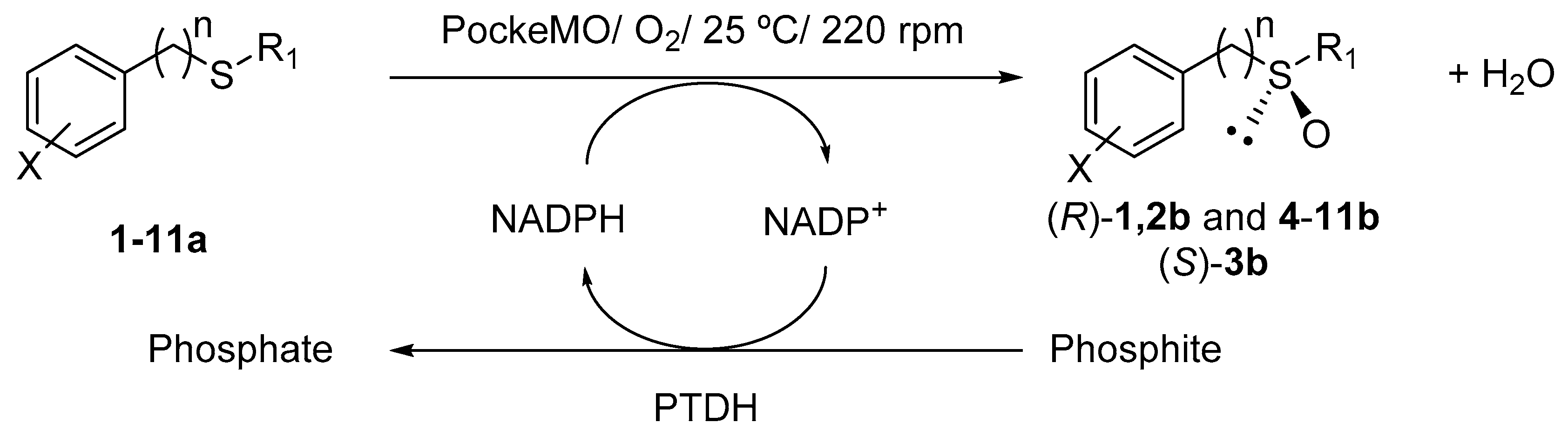 Catalysts 07 00288 sch001 Catalysts 07 00288 sch001