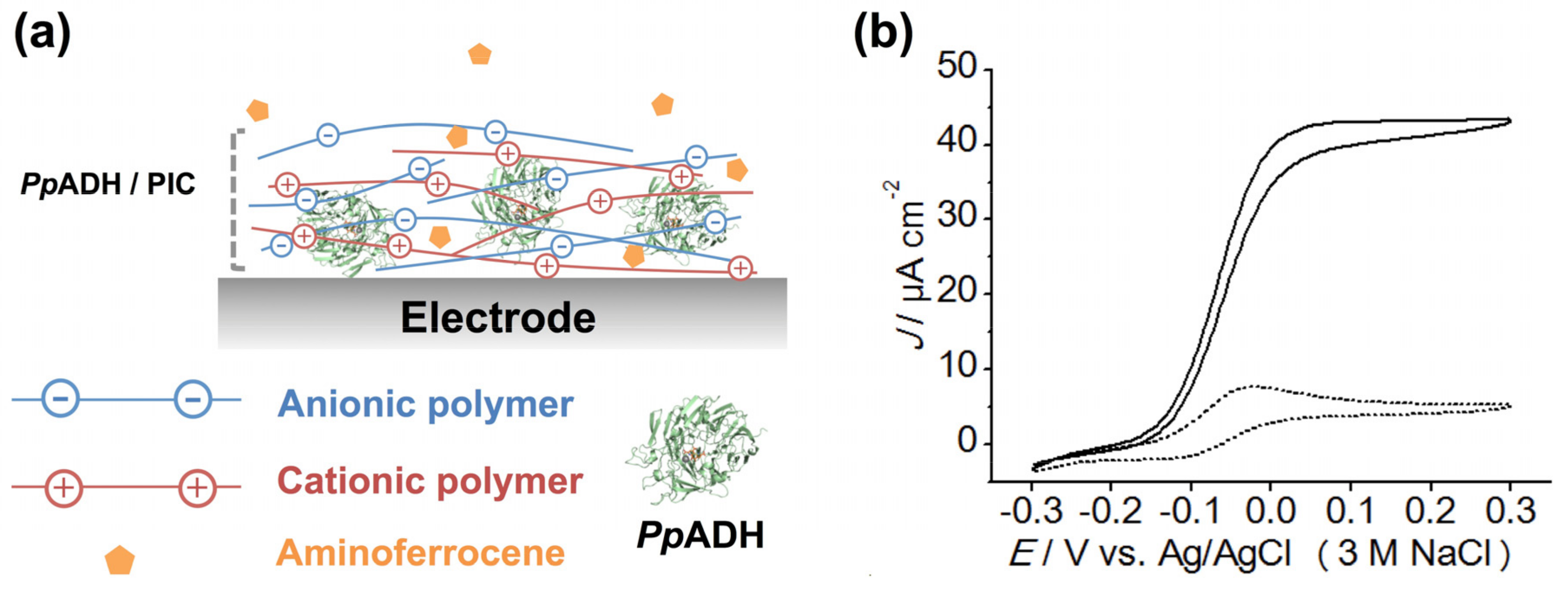 Catalysts 07 00296 g002