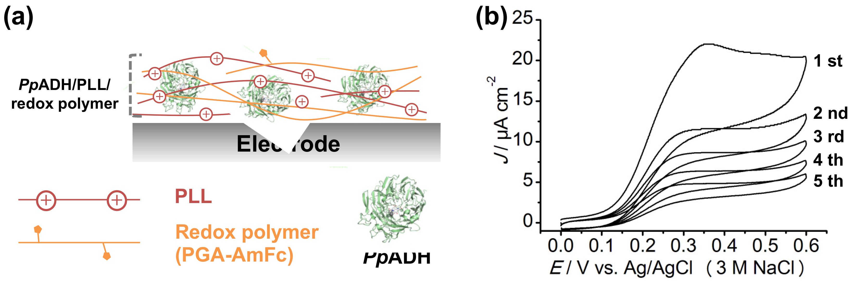 Catalysts 07 00296 g006