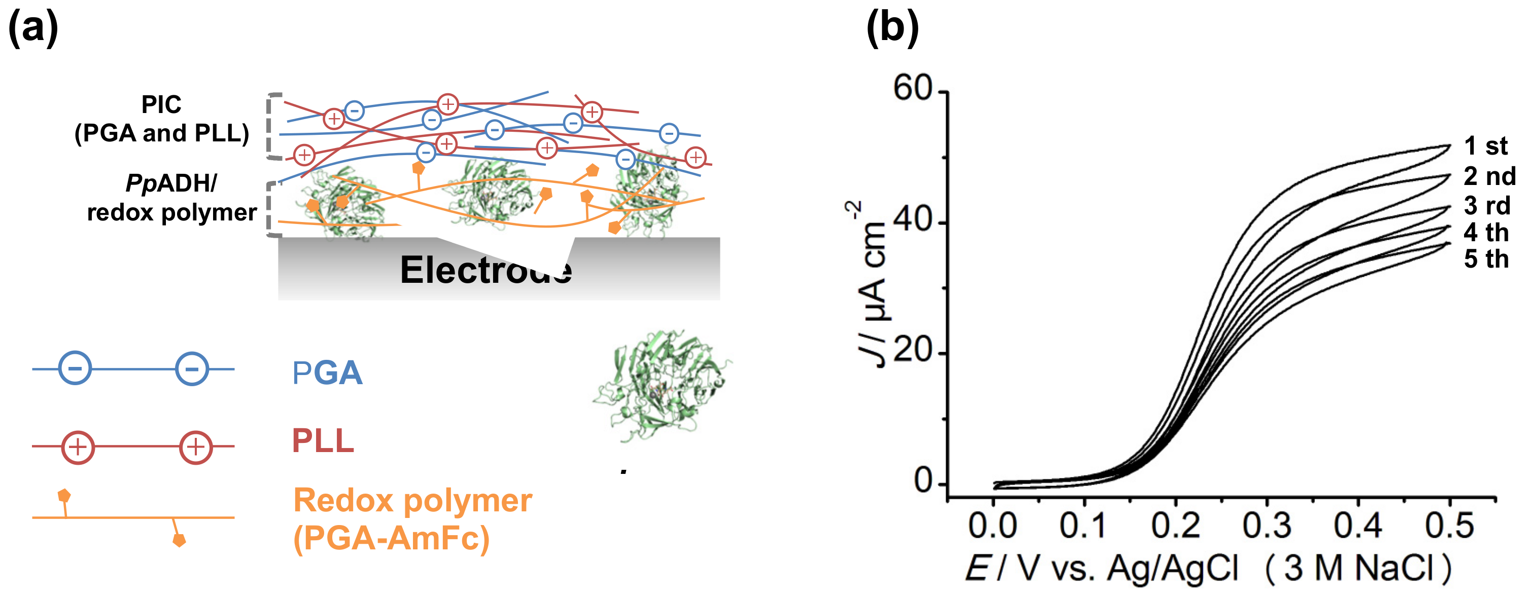 Catalysts 07 00296 g007