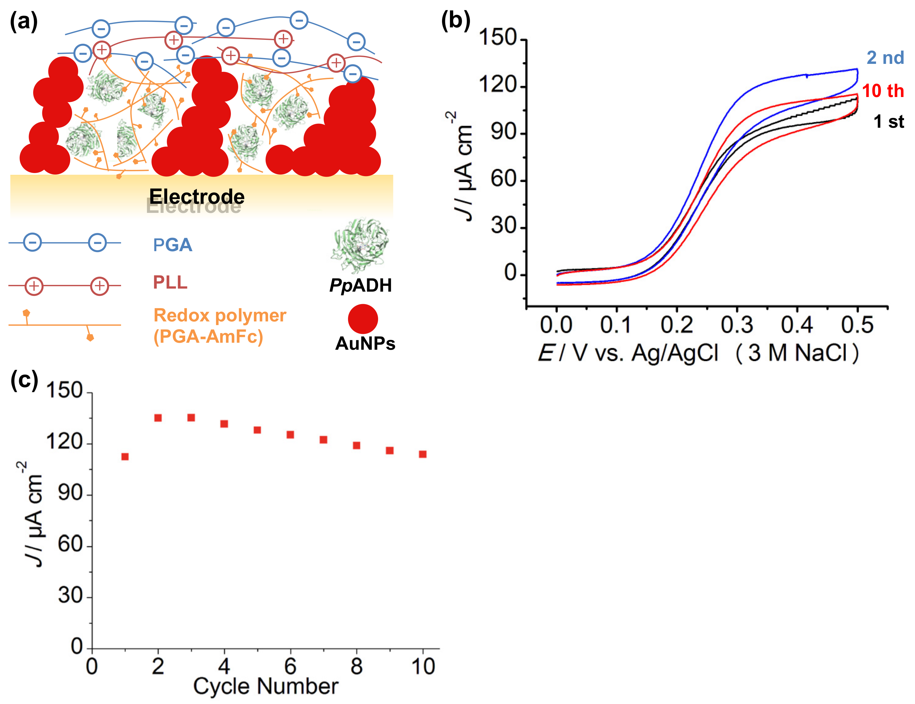 Catalysts 07 00296 g008