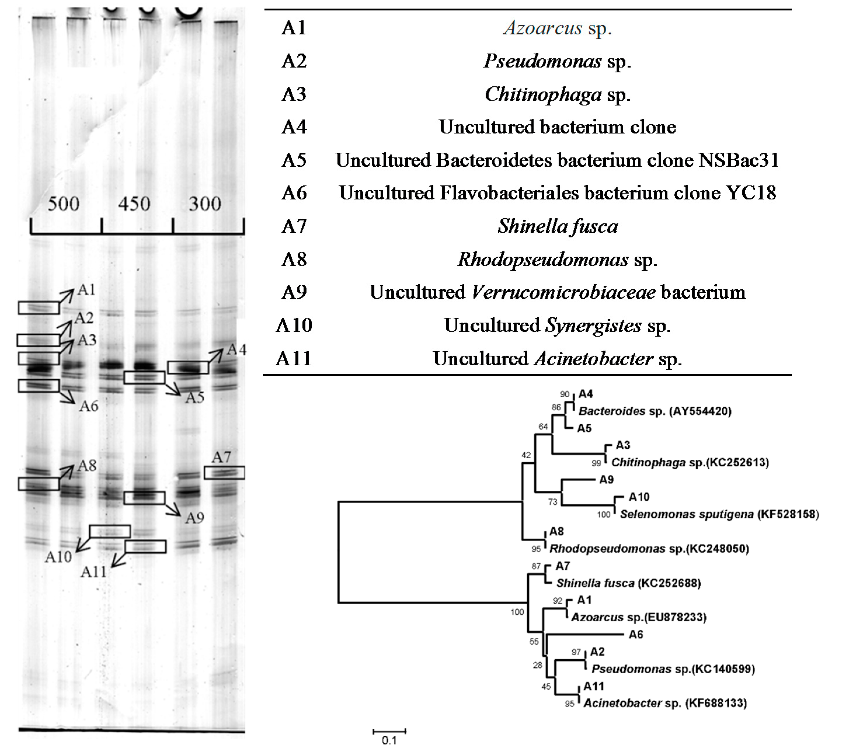 Catalysts 07 00312 g003
