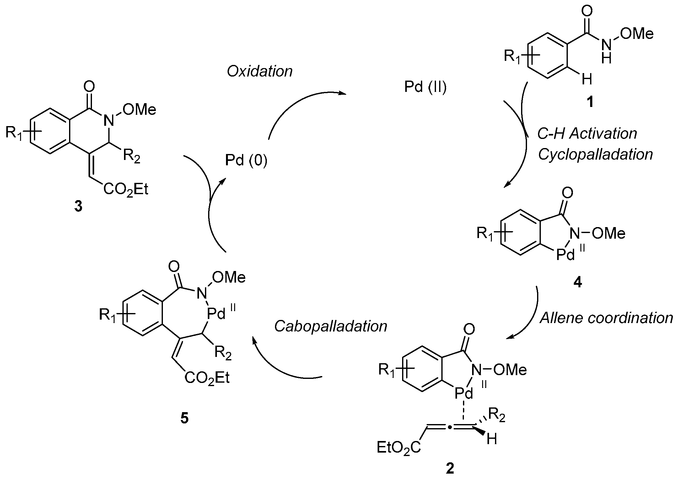 Catalysts 07 00320 sch003