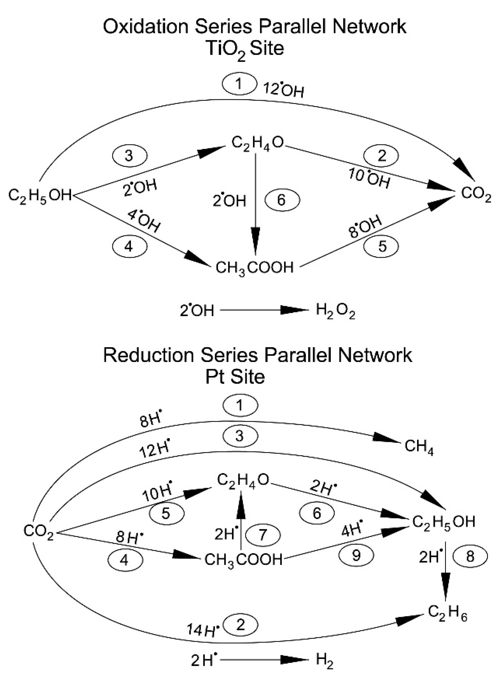 Catalysts 07 00324 g012