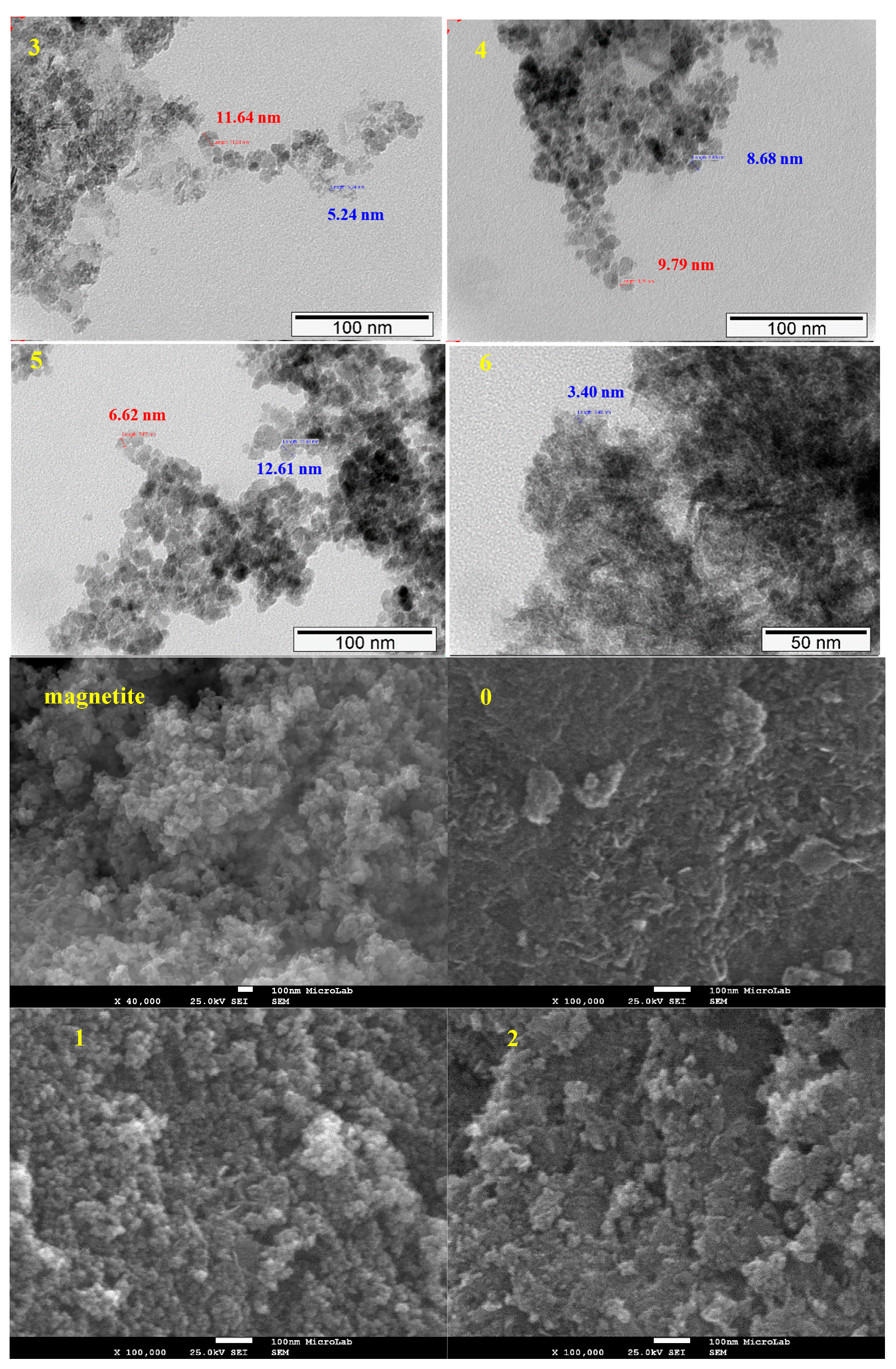 Catalysts 07 00335 g003b