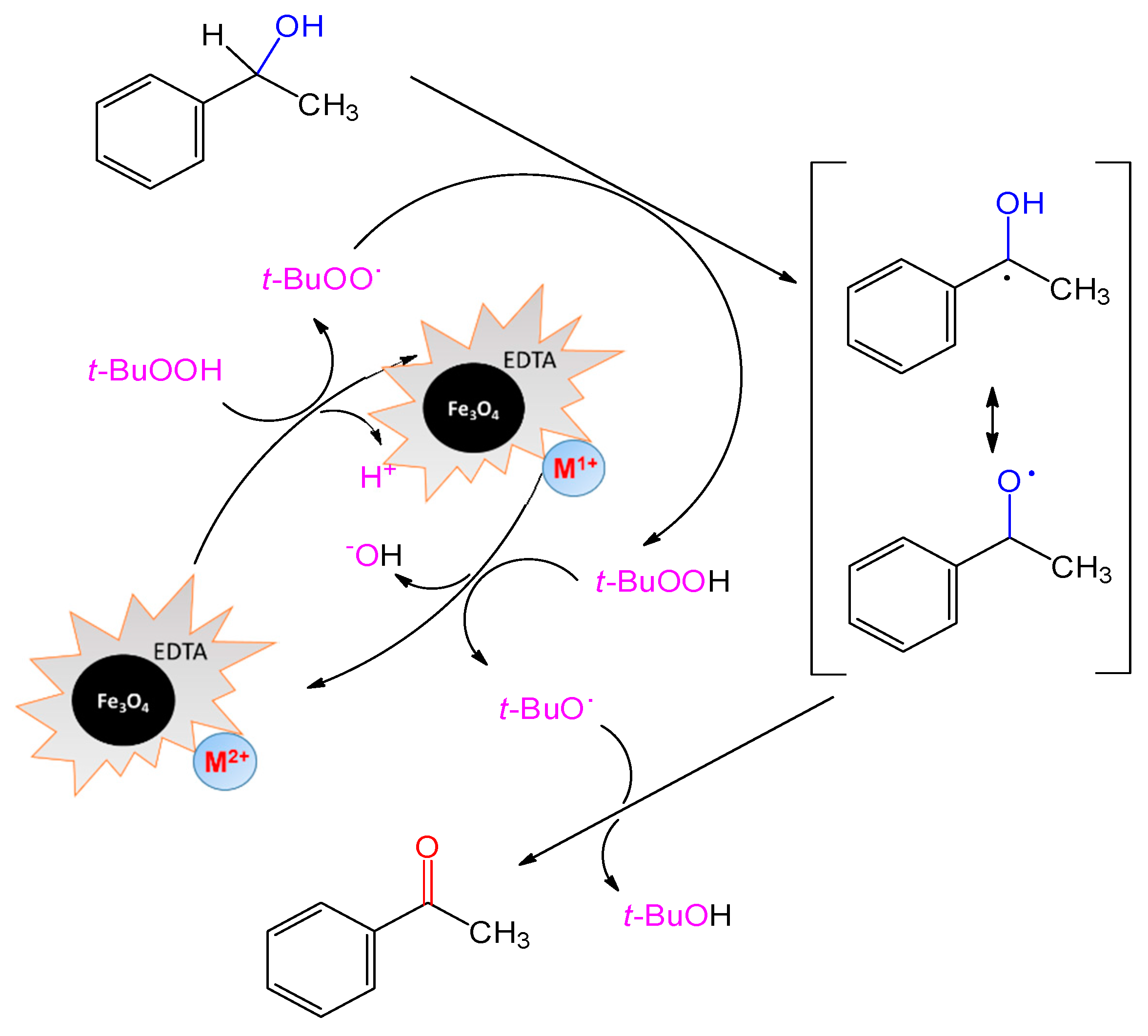 Catalysts 07 00335 sch002