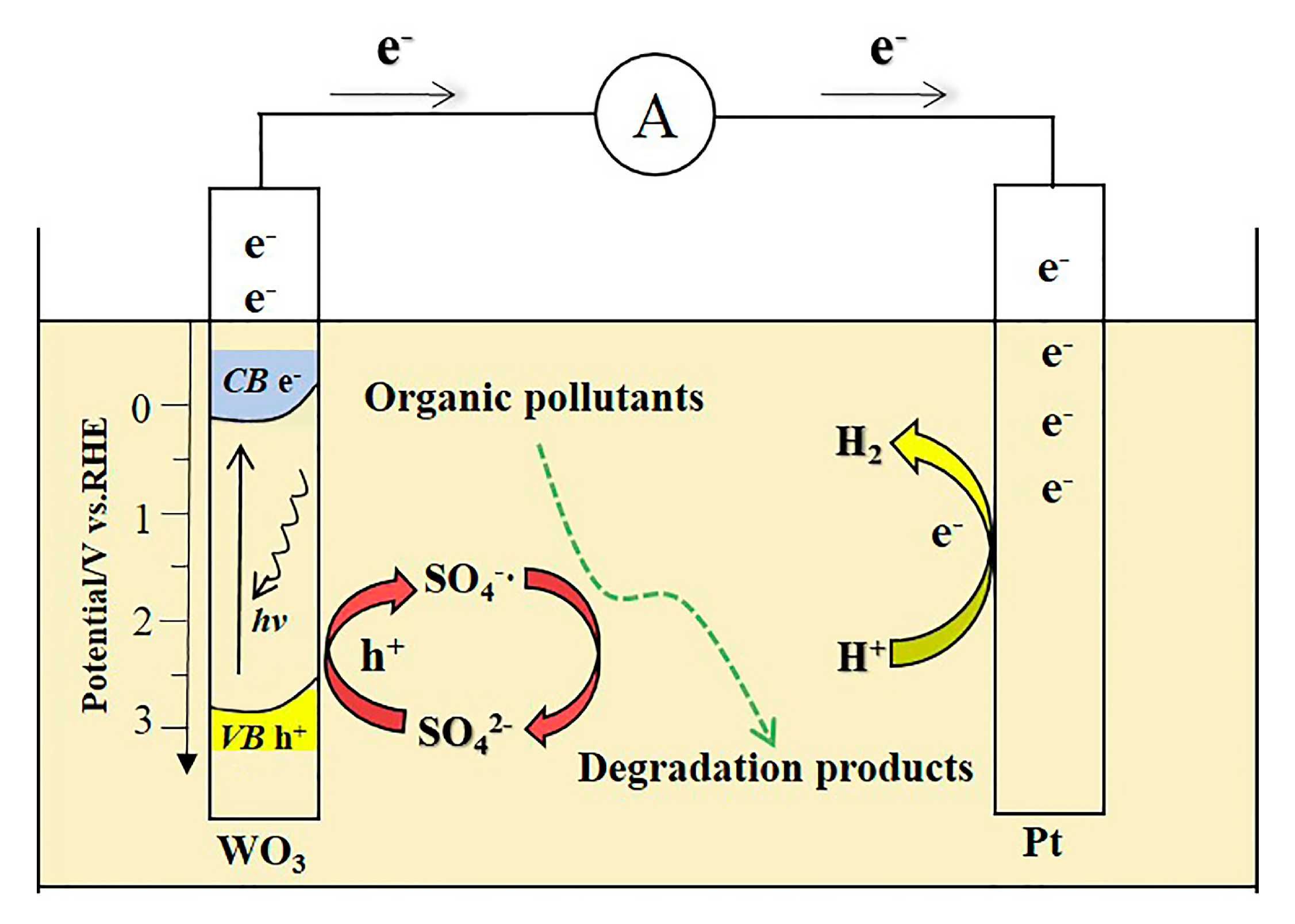 Catalysts 07 00346 g006