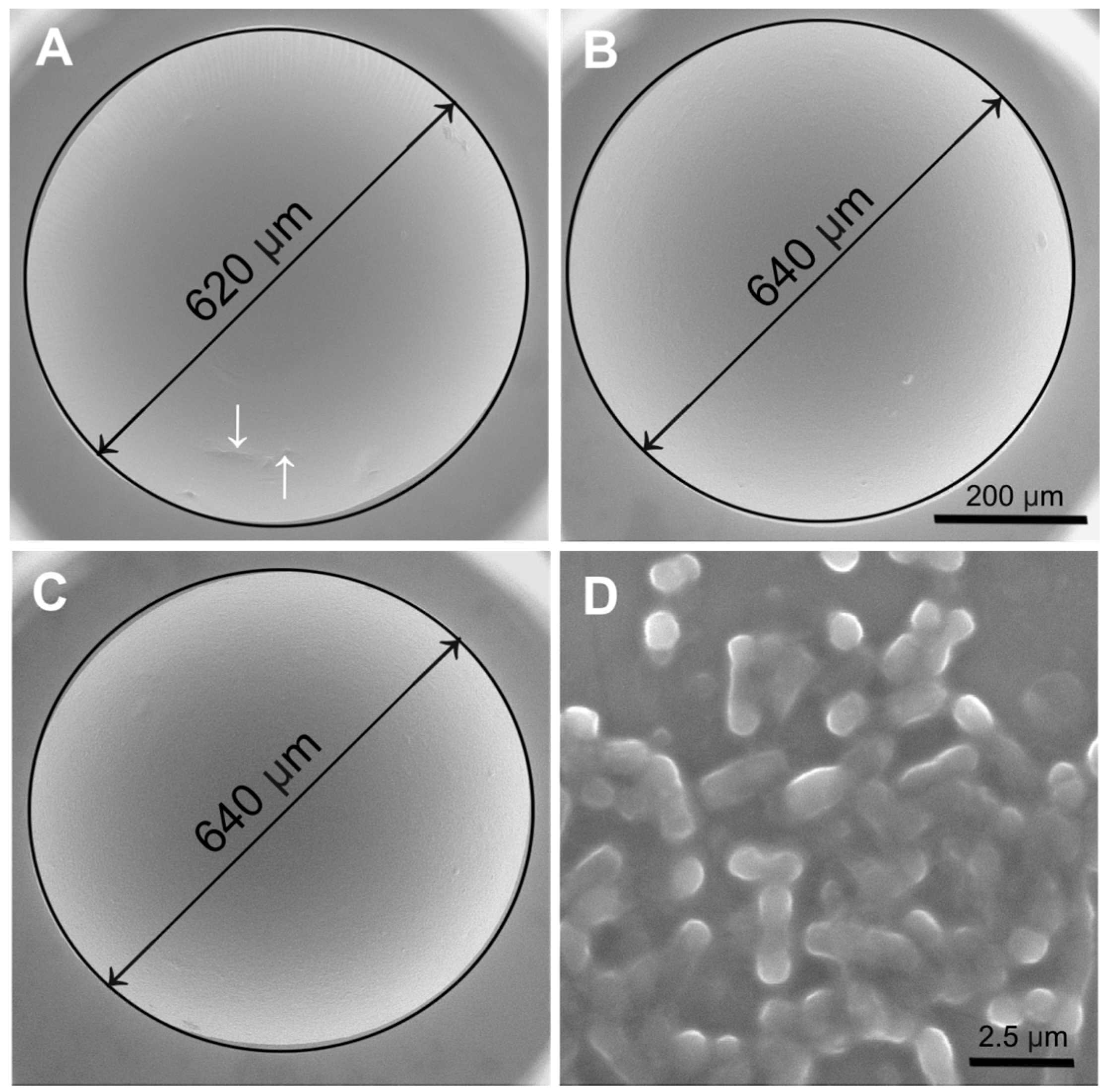 Catalysts 07 00353 g005