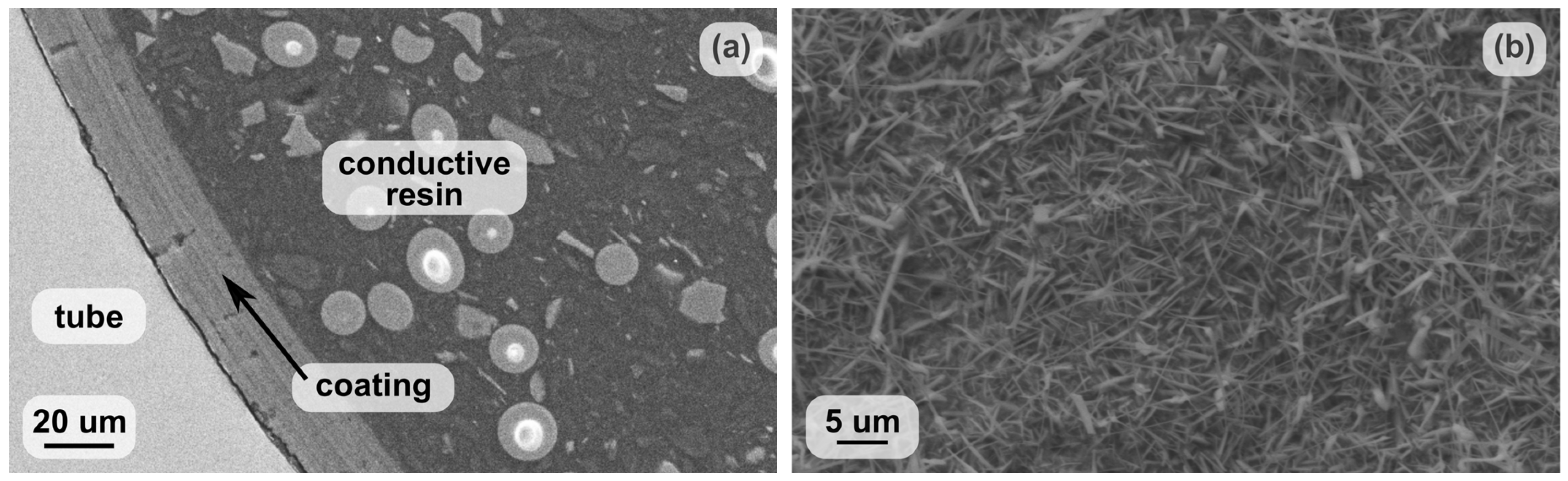 Catalysts 07 00358 g001 Catalysts 07 00358 g001