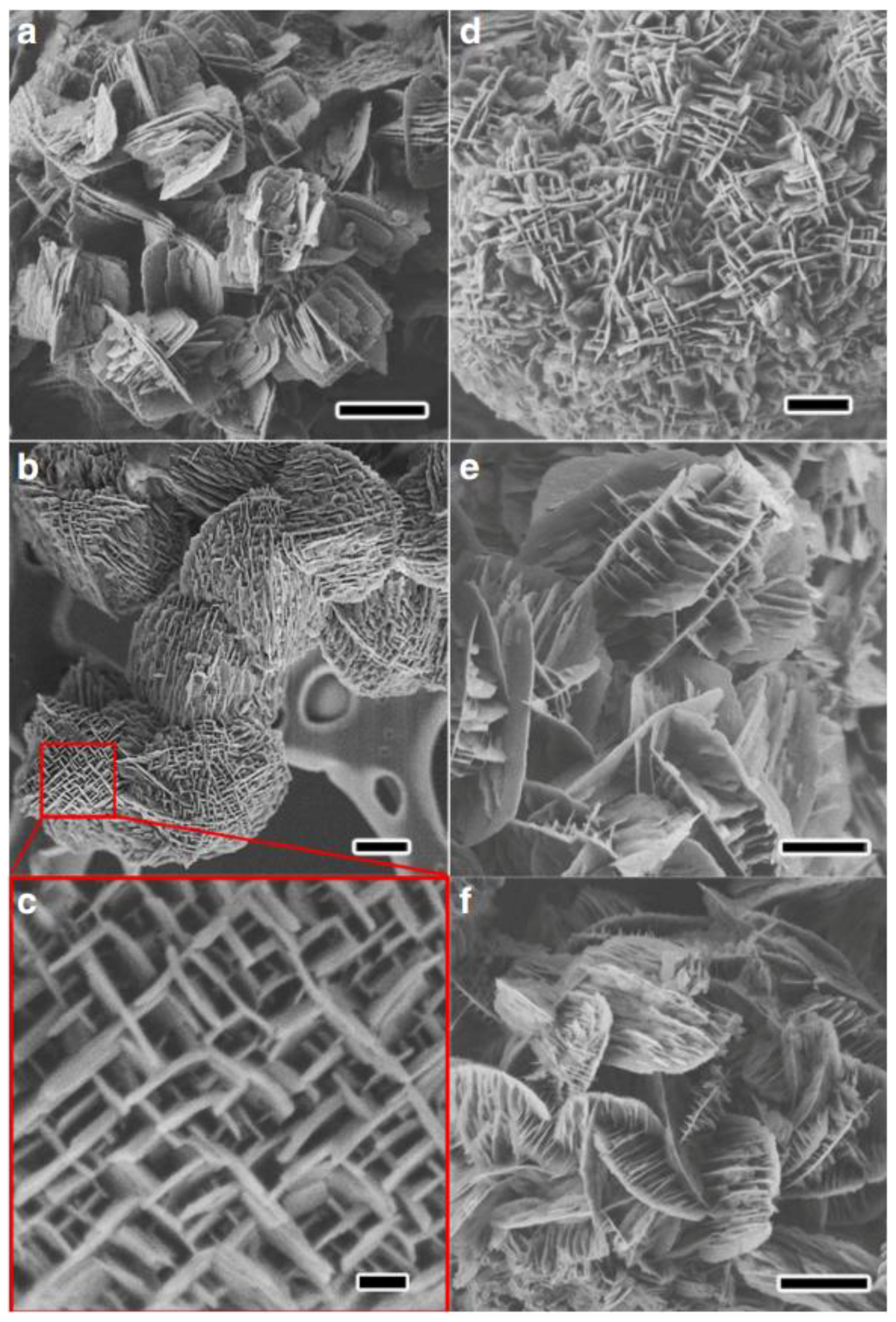 Catalysts 07 00367 g004