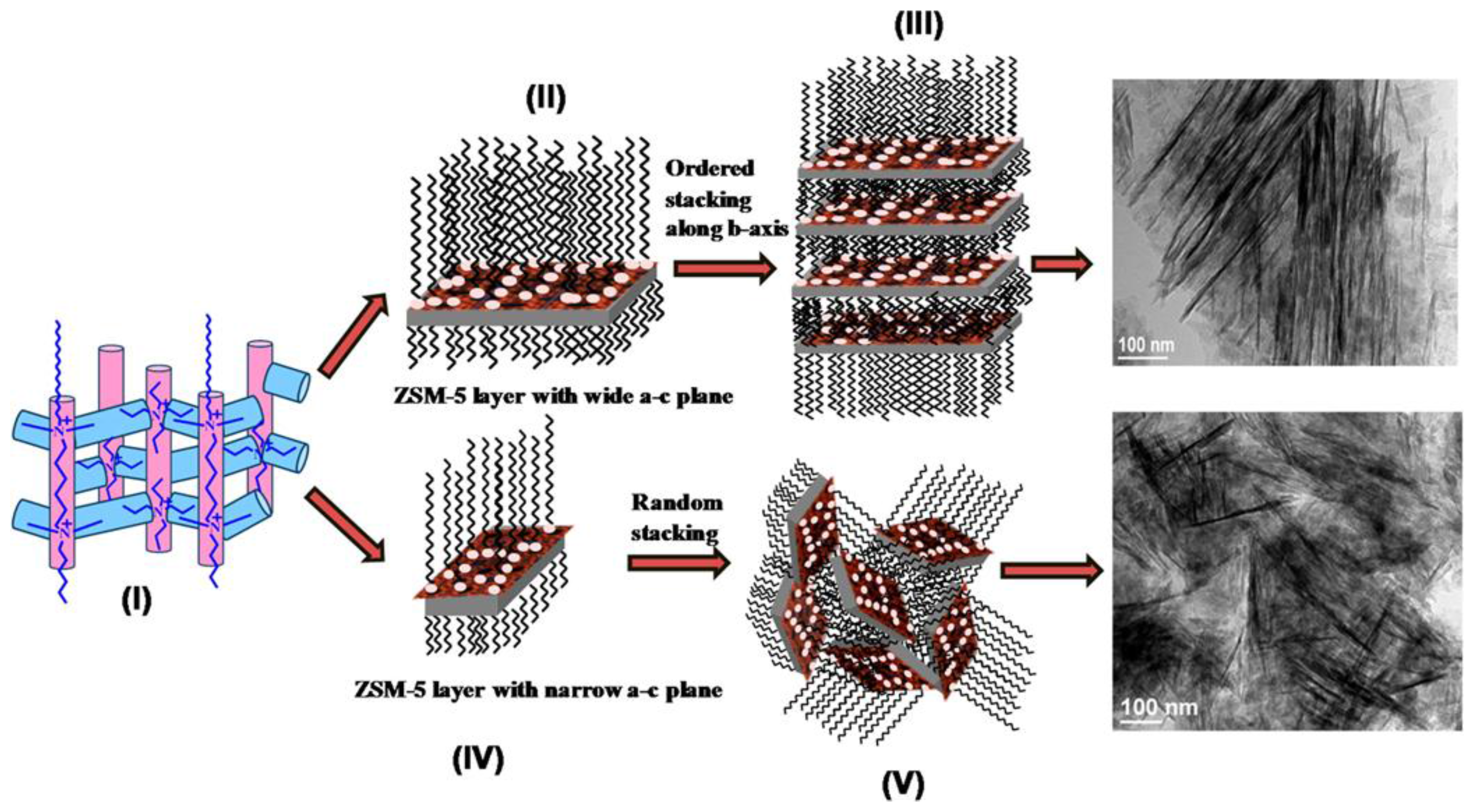 Catalysts 07 00367 g005