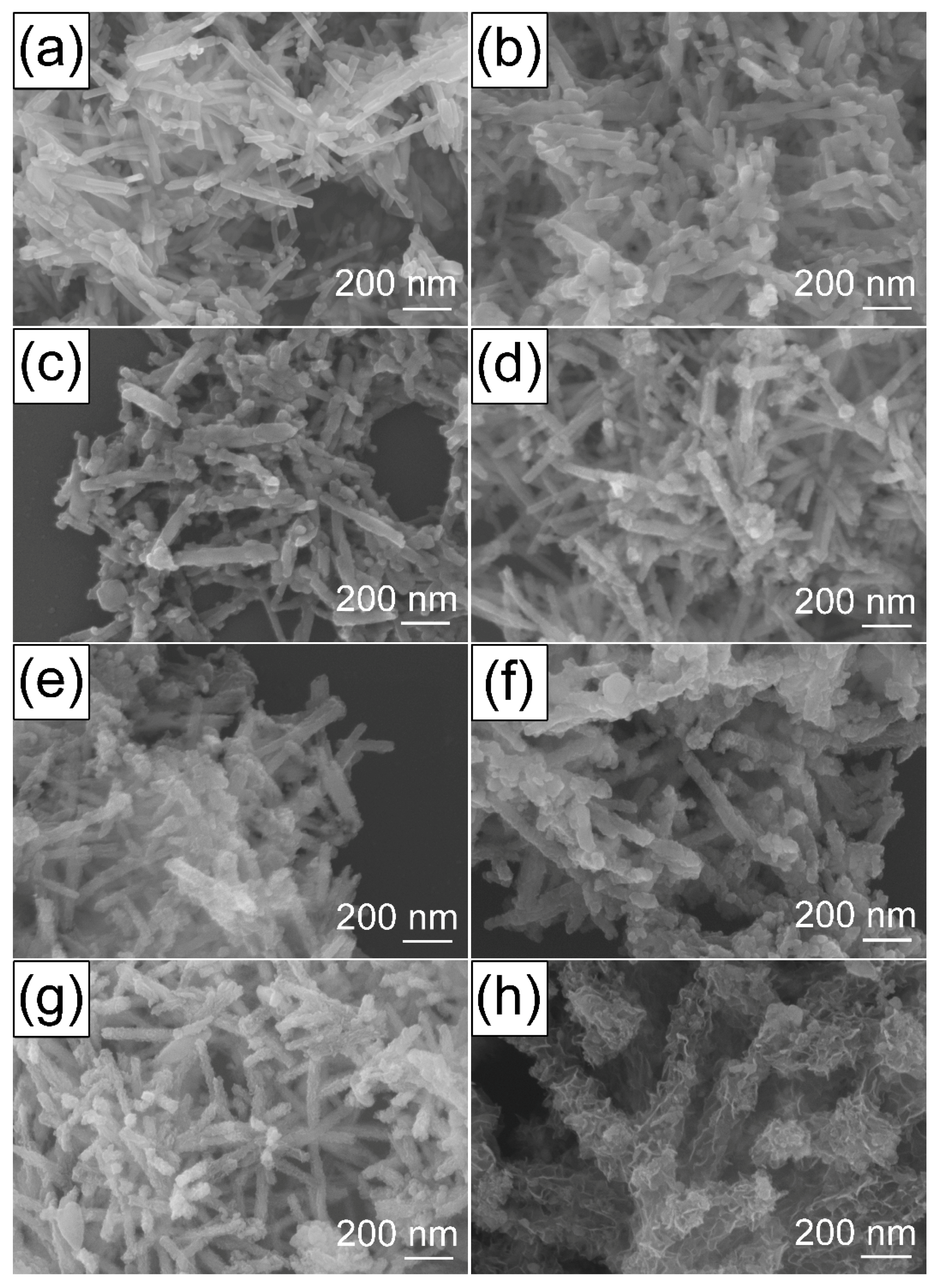 Catalysts 07 00379 g003 Catalysts 07 00379 g003