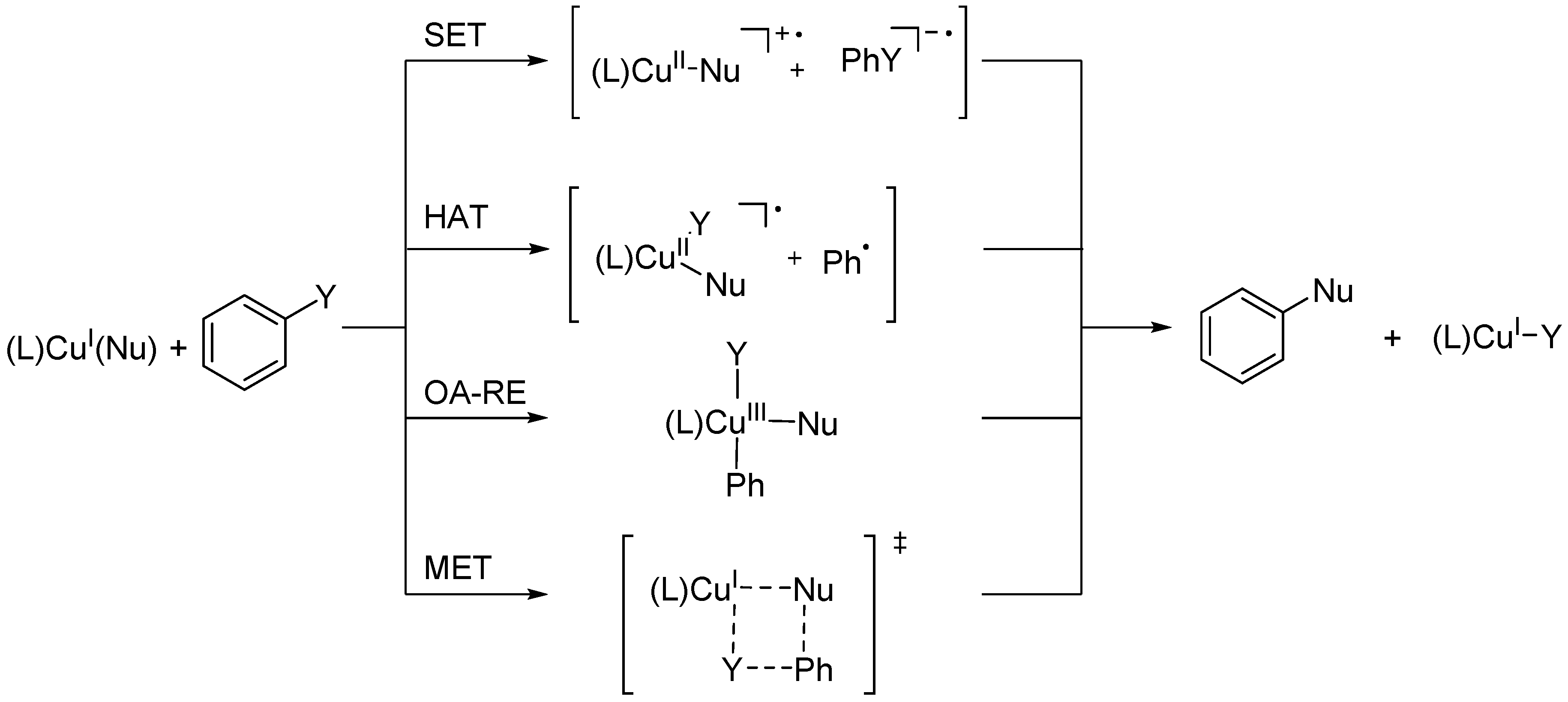 Catalysts 07 00388 sch001 Catalysts 07 00388 sch001