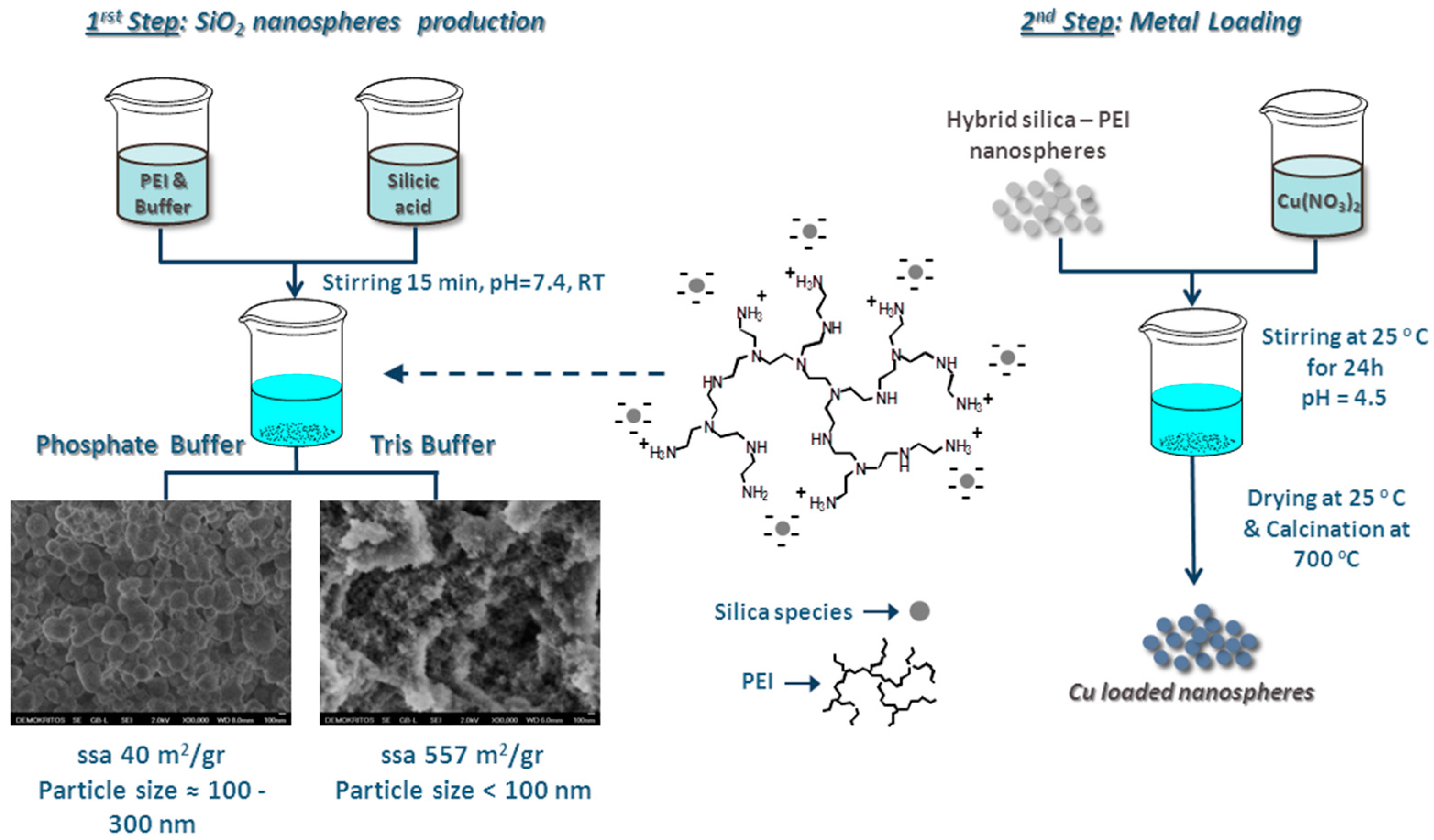 Catalysts 07 00390 sch001