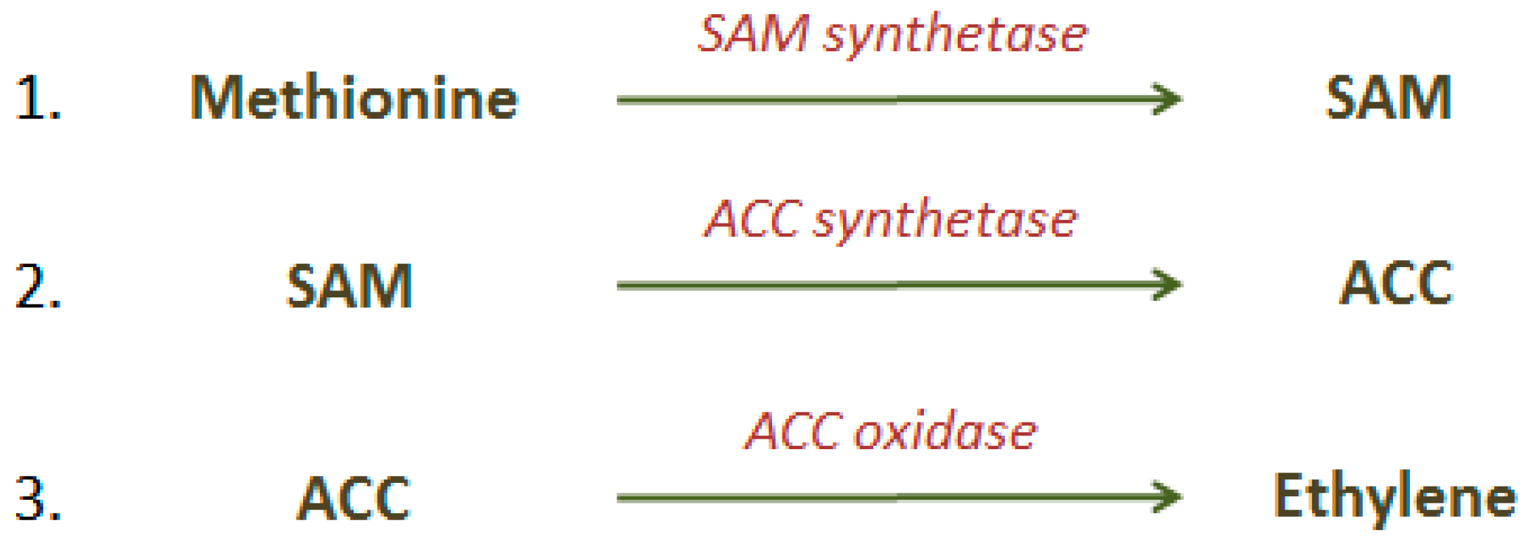 Catalysts 08 00002 sch001