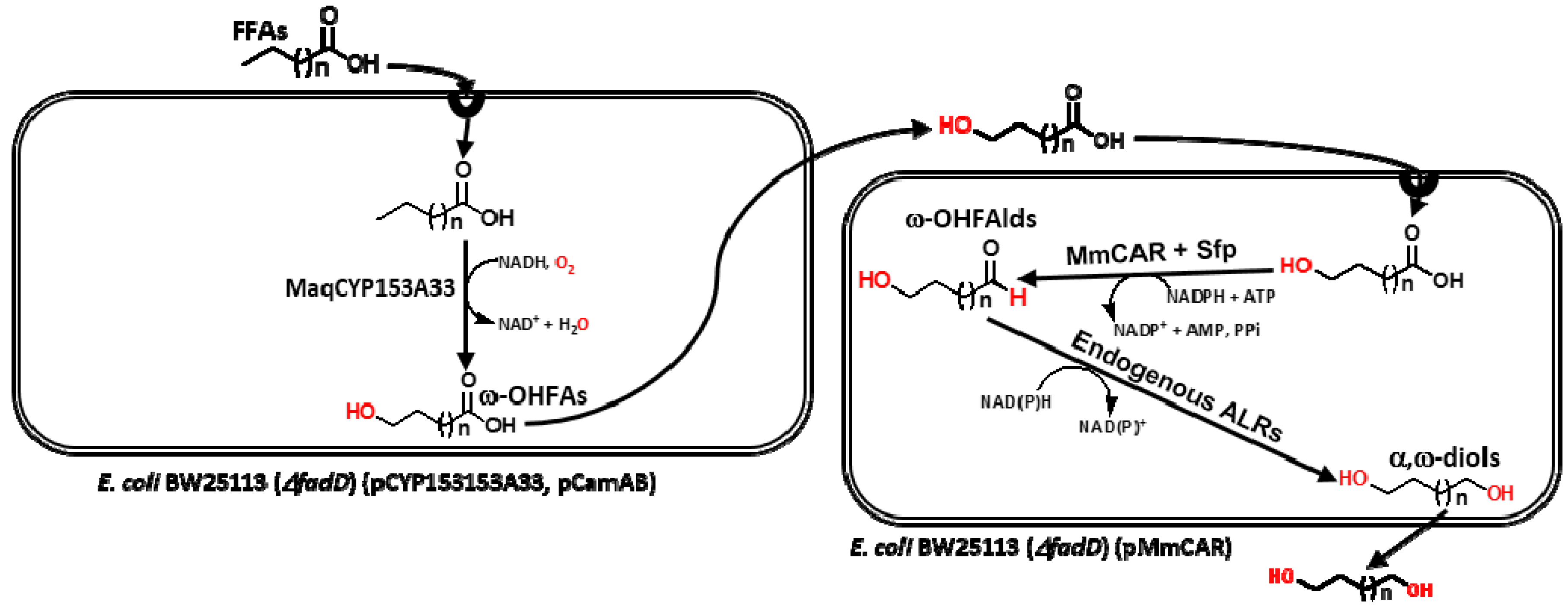 Catalysts 08 00004 g001 Catalysts 08 00004 g001