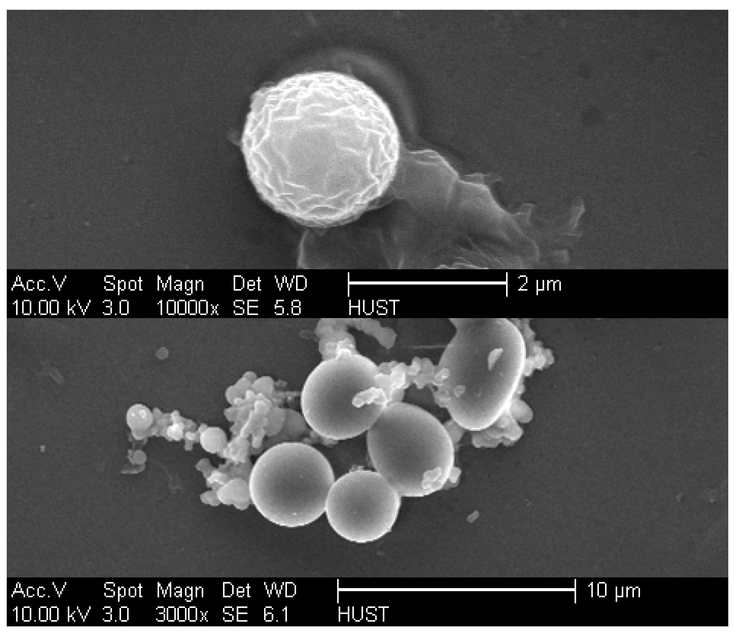 Catalysts 08 00013 g001 Catalysts 08 00013 g001