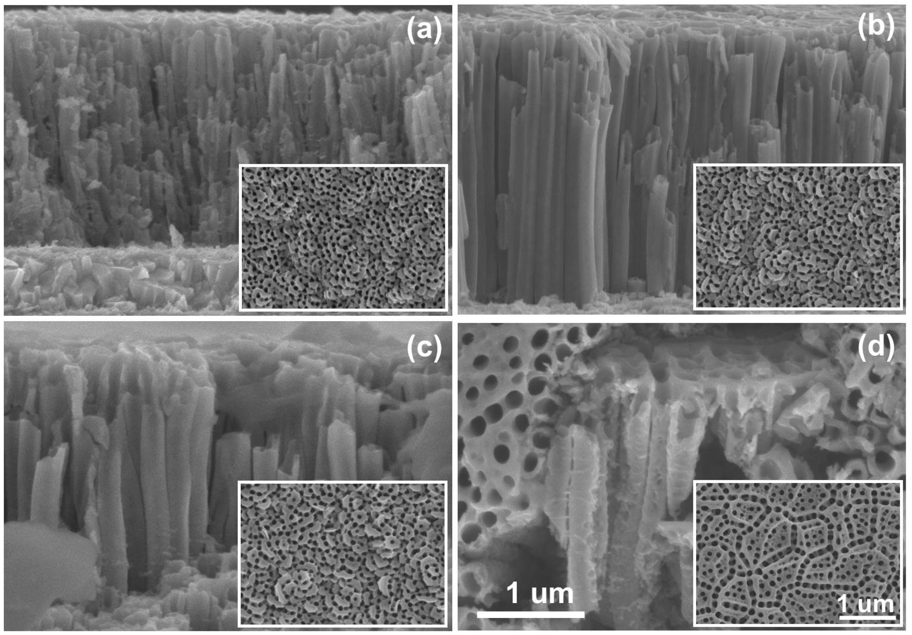 Catalysts 08 00025 g006