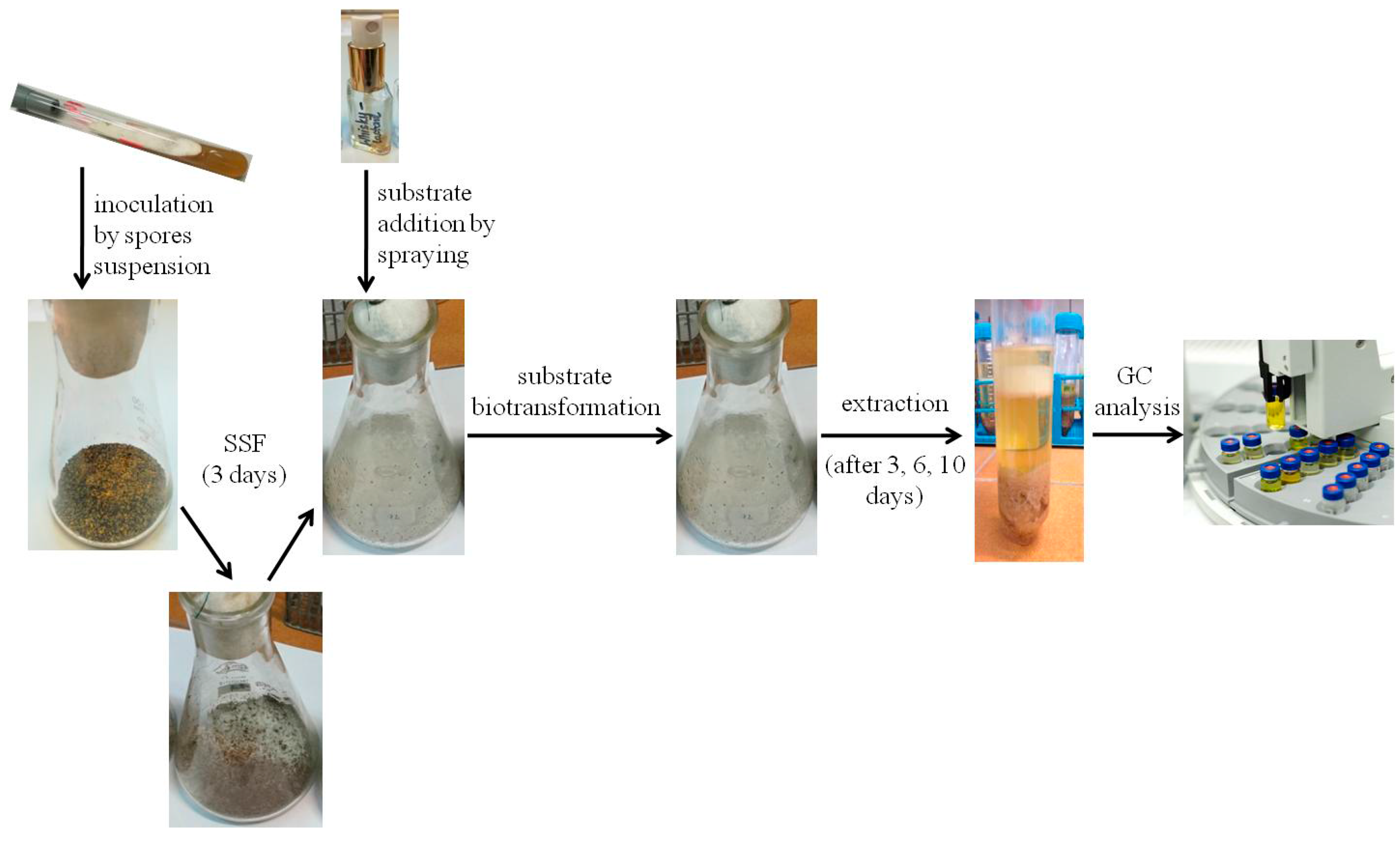 Catalysts 08 00028 g001