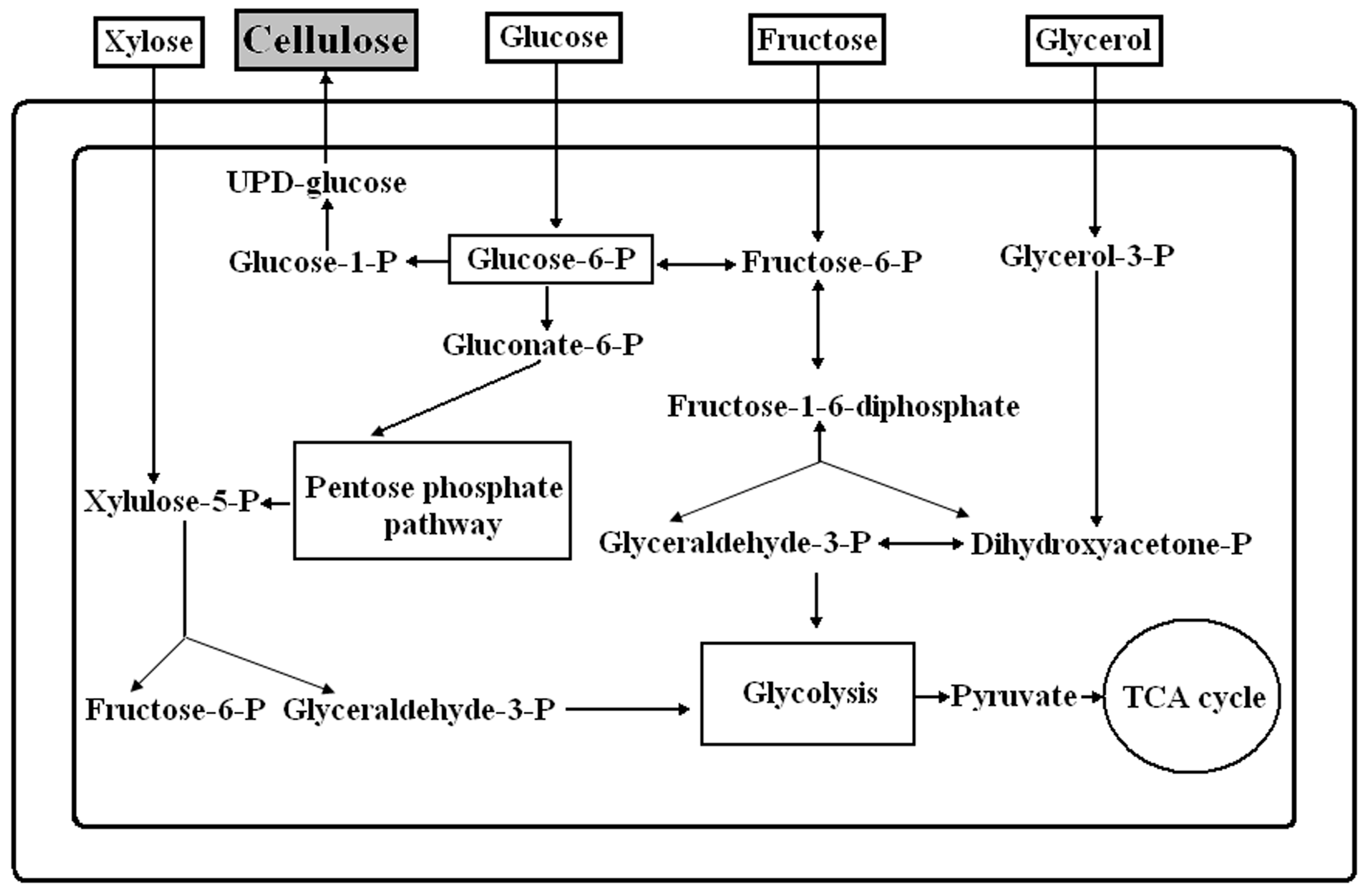 Catalysts 08 00033 g001