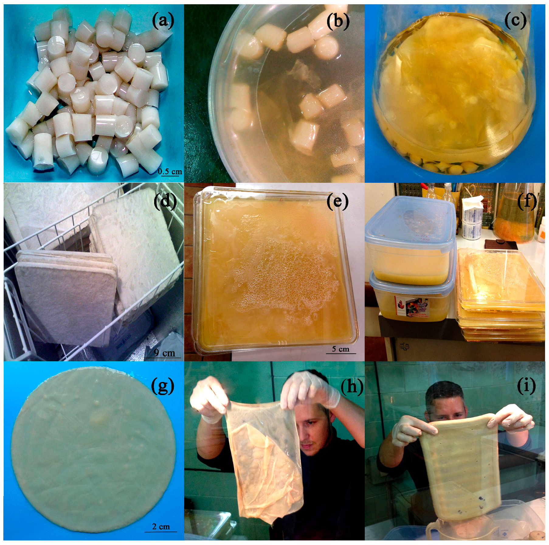 Catalysts 08 00033 g002