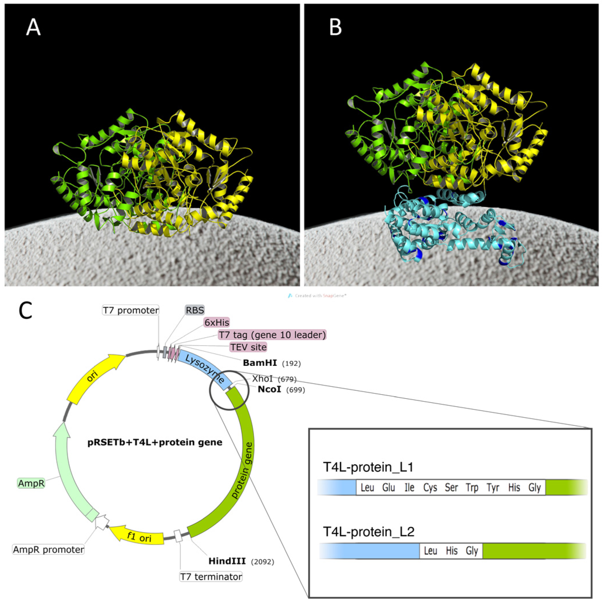 Catalysts 08 00040 g001