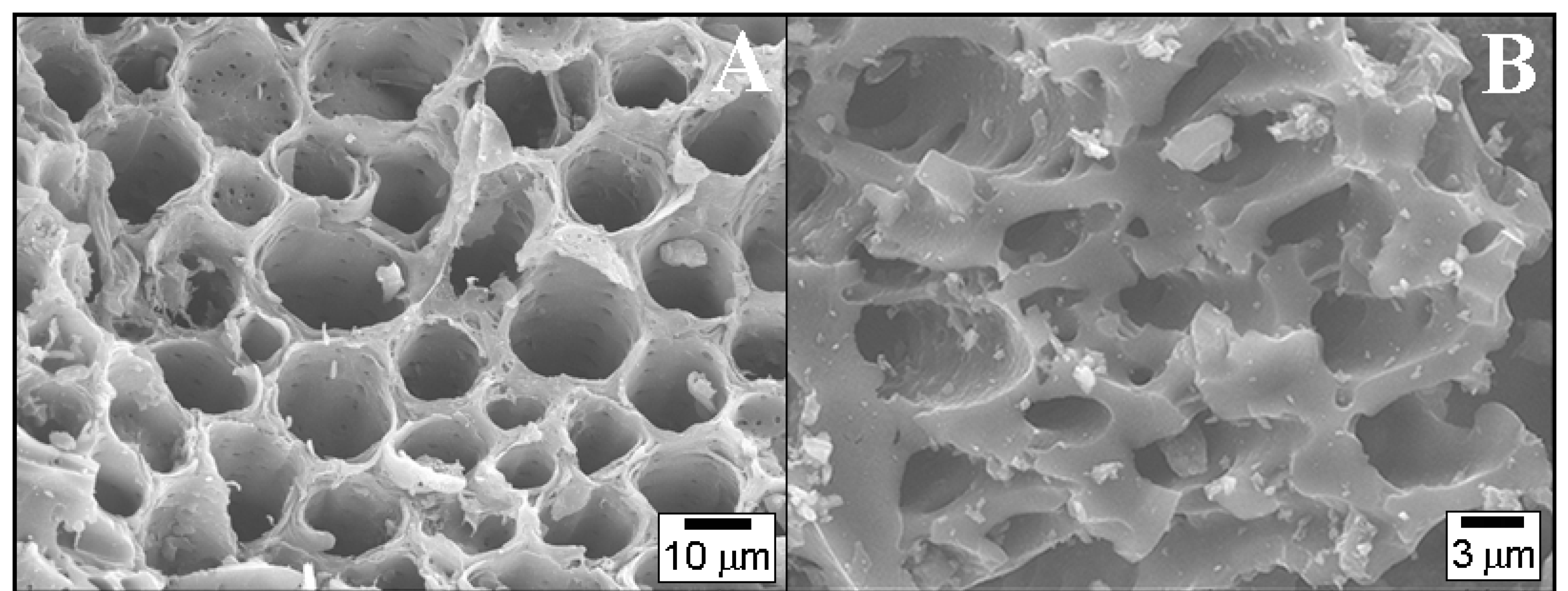 Catalysts 08 00050 g001 Catalysts 08 00050 g001