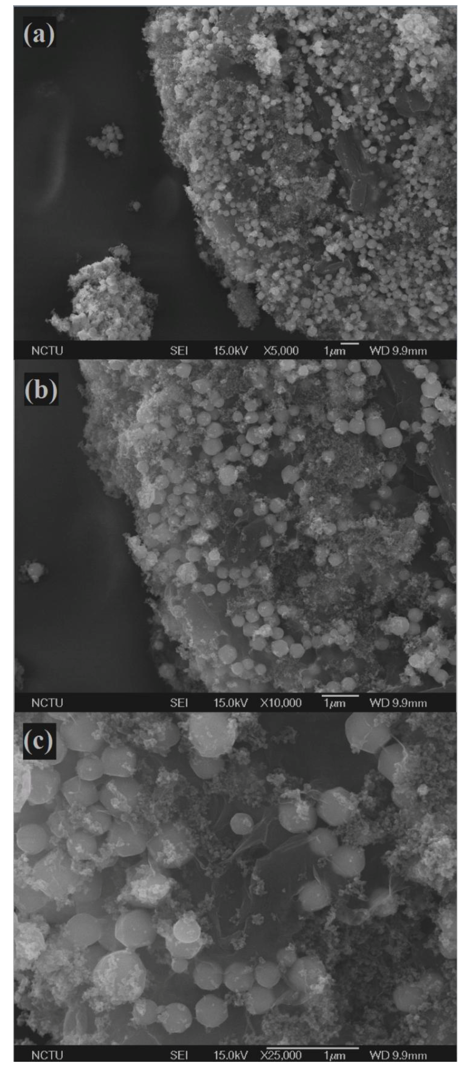 Catalysts 08 00057 g004